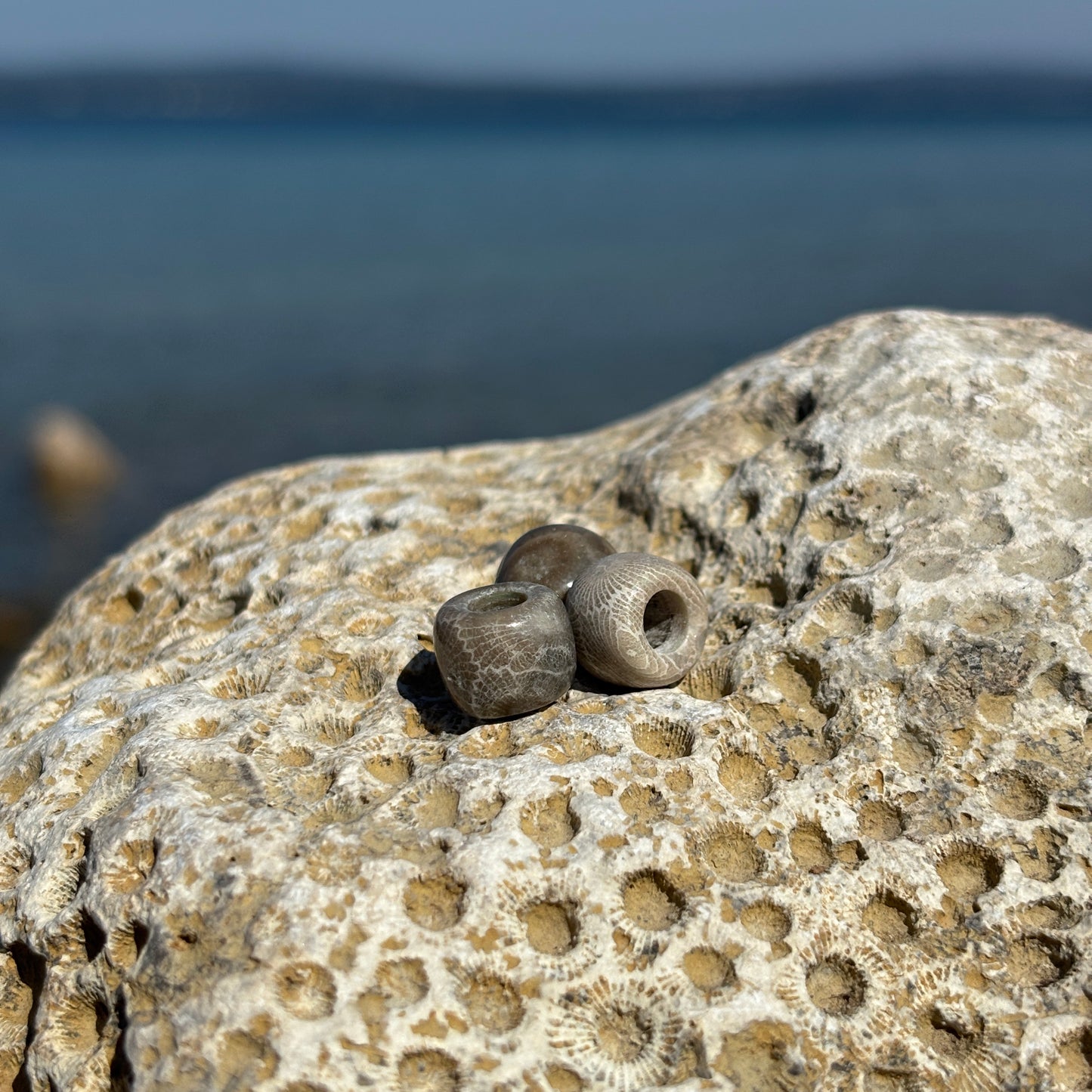 Petoskey Stone Beads