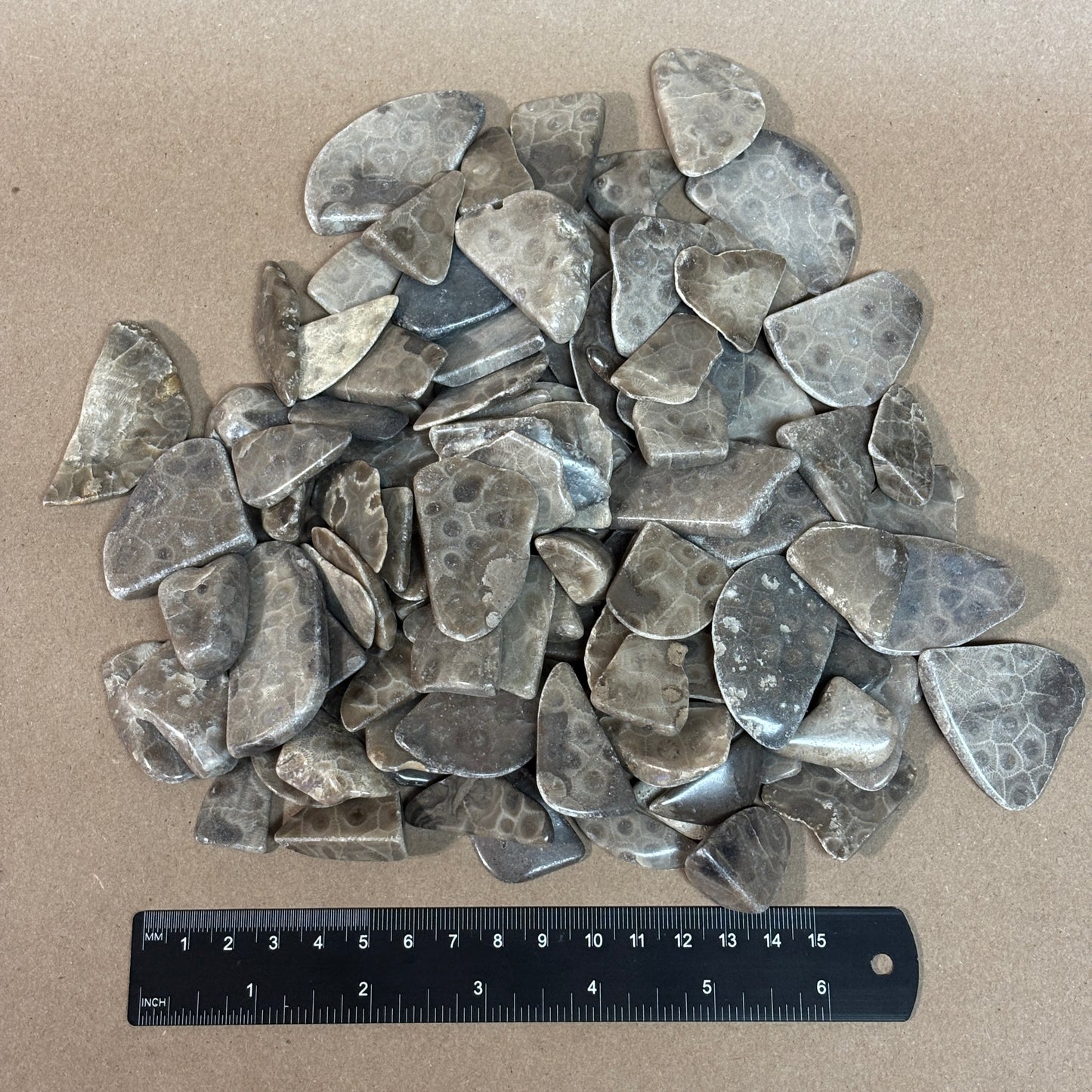 Bulk Polished Petoskey Stone Chips
