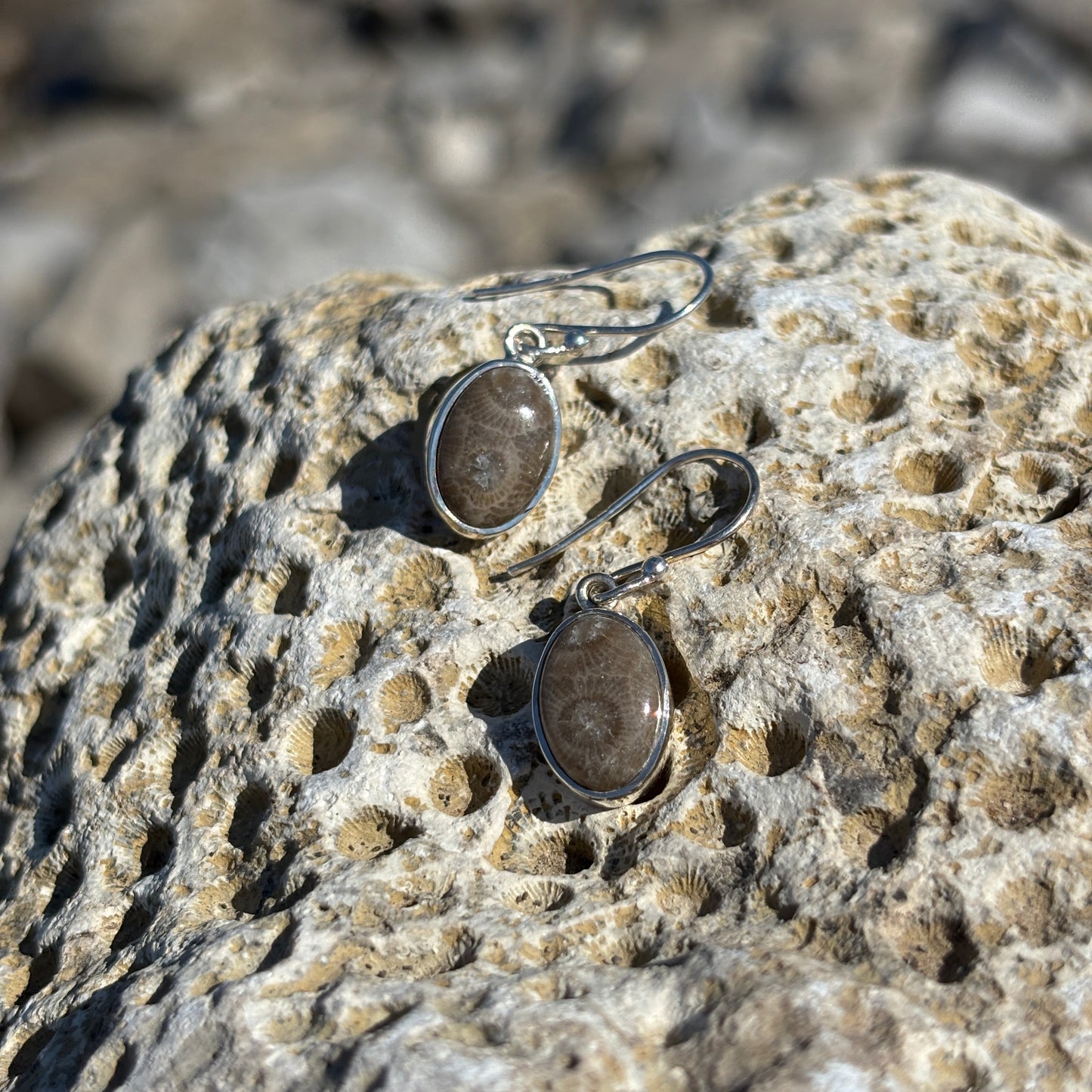 Petoskey Stone Dangle Earrings with Sterling Silver