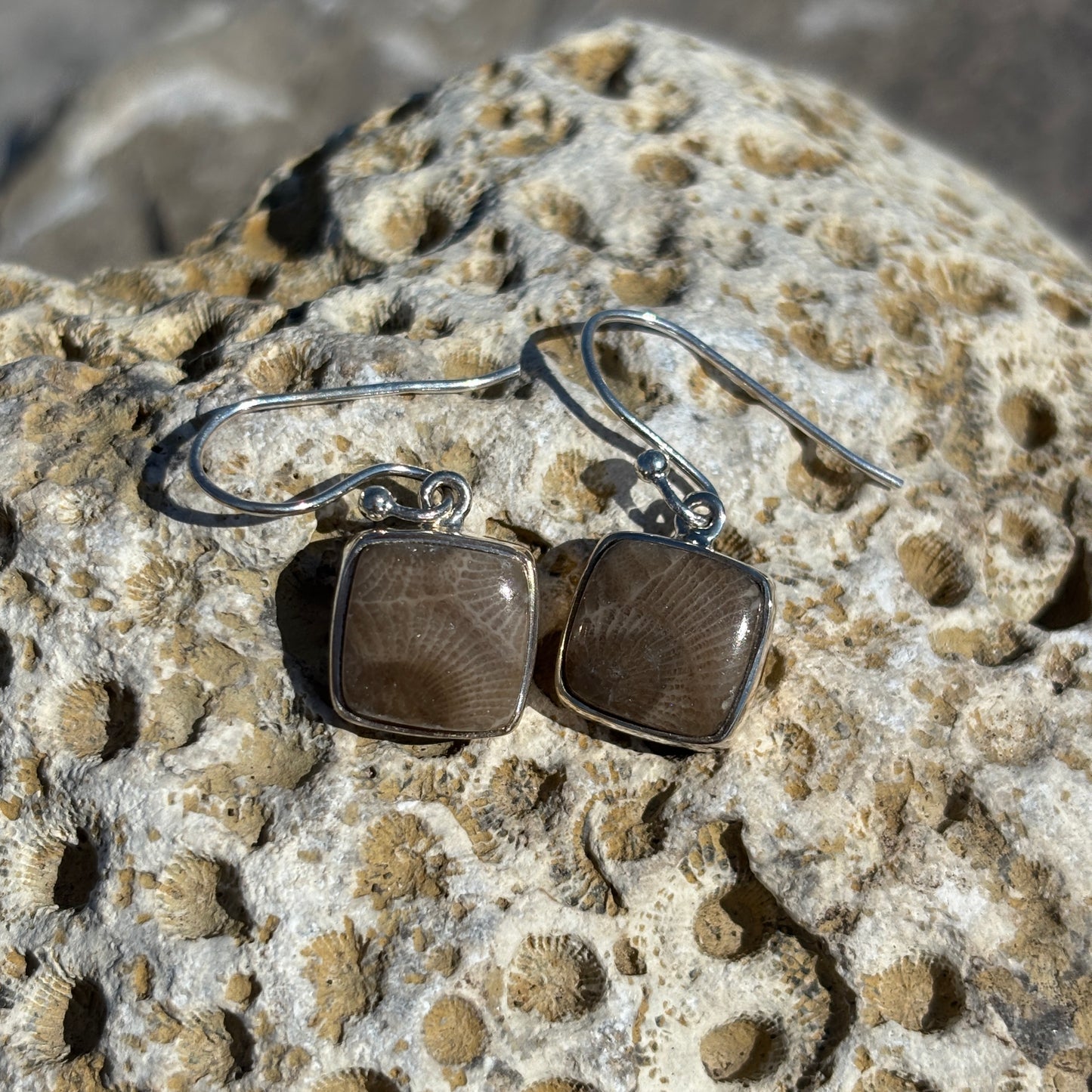 Petoskey Stone Dangle Earrings with Sterling Silver