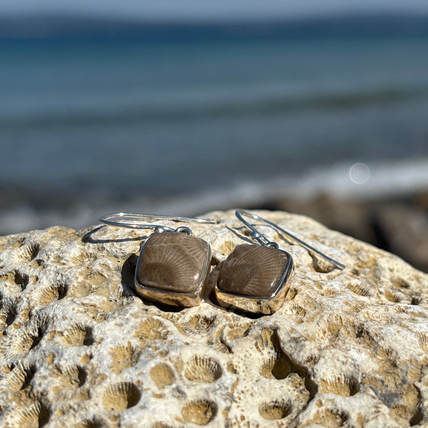 Petoskey Stone Dangle Earrings with Sterling Silver