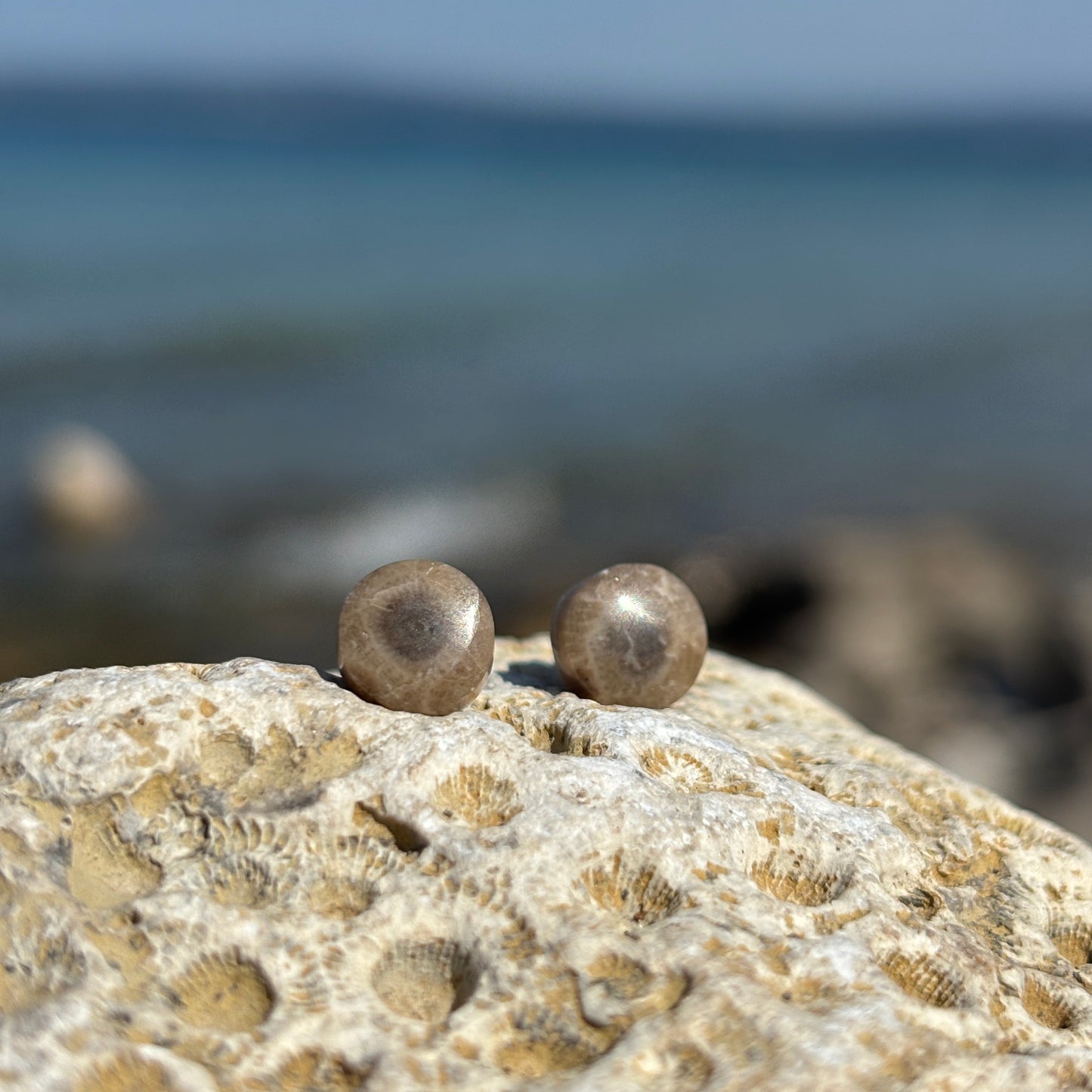 Petoskey Stone Stud Earring with Steel Post