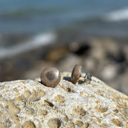 Petoskey Stone Stud Earring with Steel Post