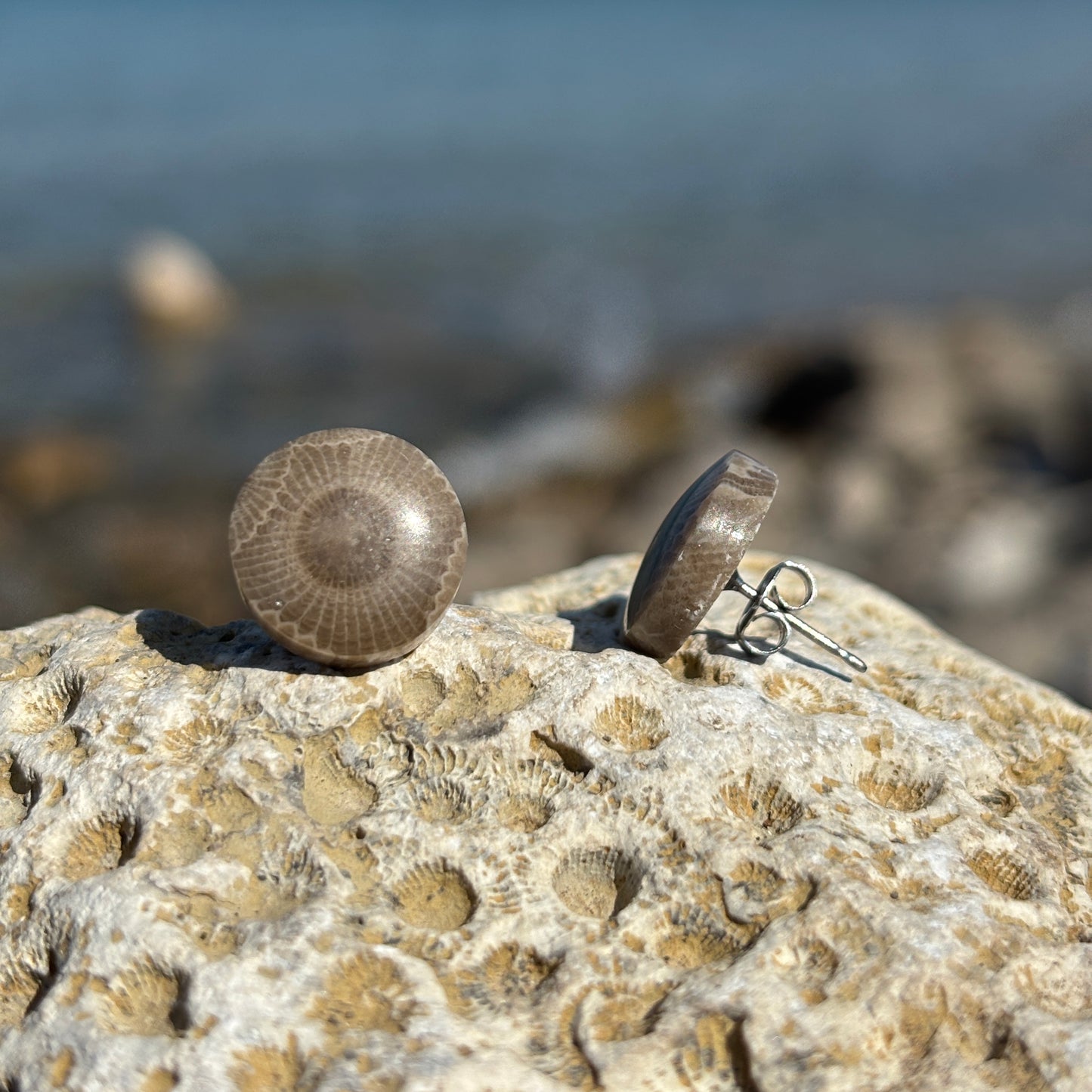 Petoskey Stone Stud Earring with Steel Post