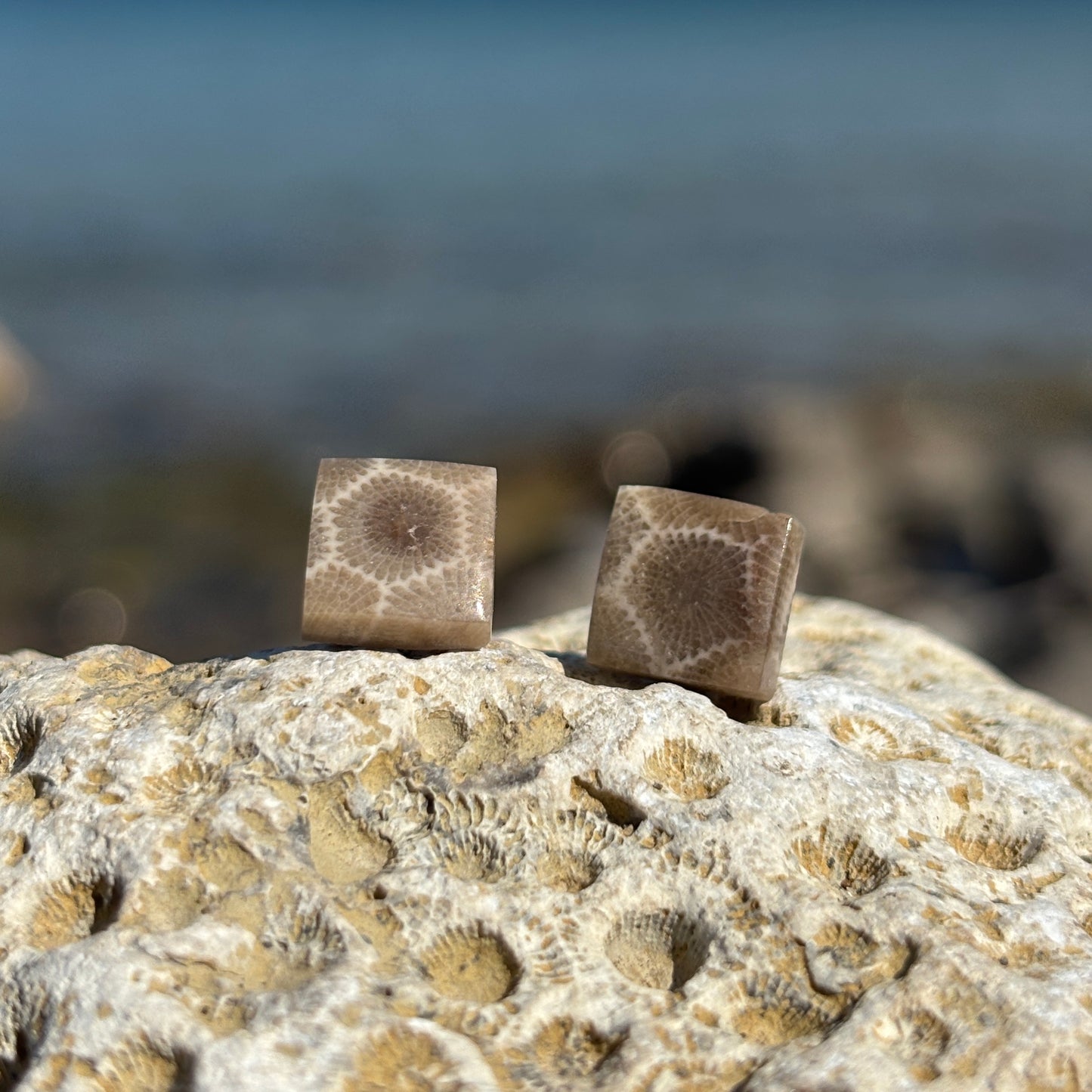 Petoskey Stone Stud Earring with Steel Post