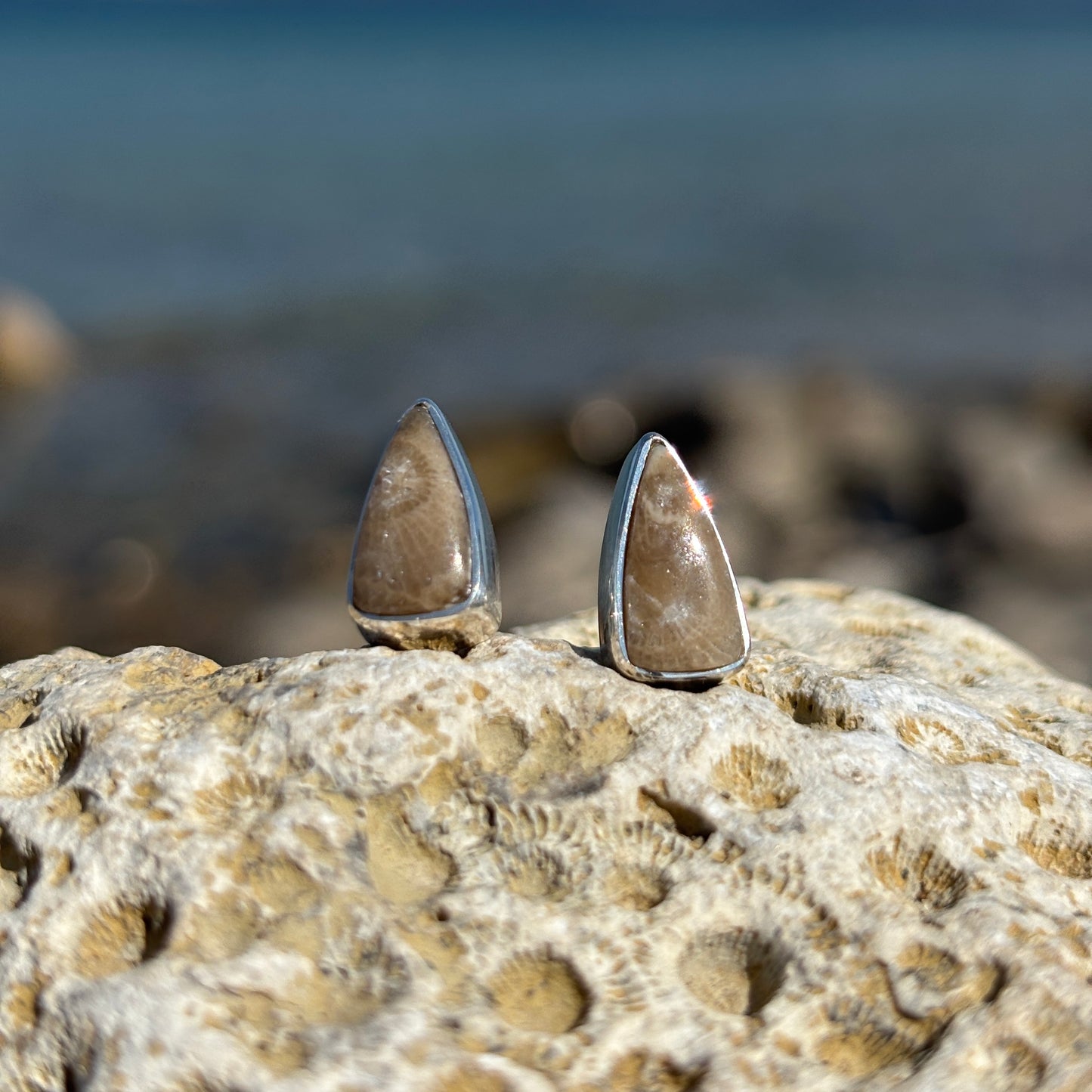 Petoskey Stone Stud Earring with Sterling Silver