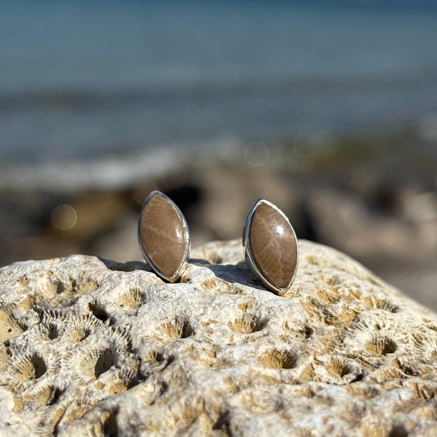 Petoskey Stone Stud Earring with Sterling Silver