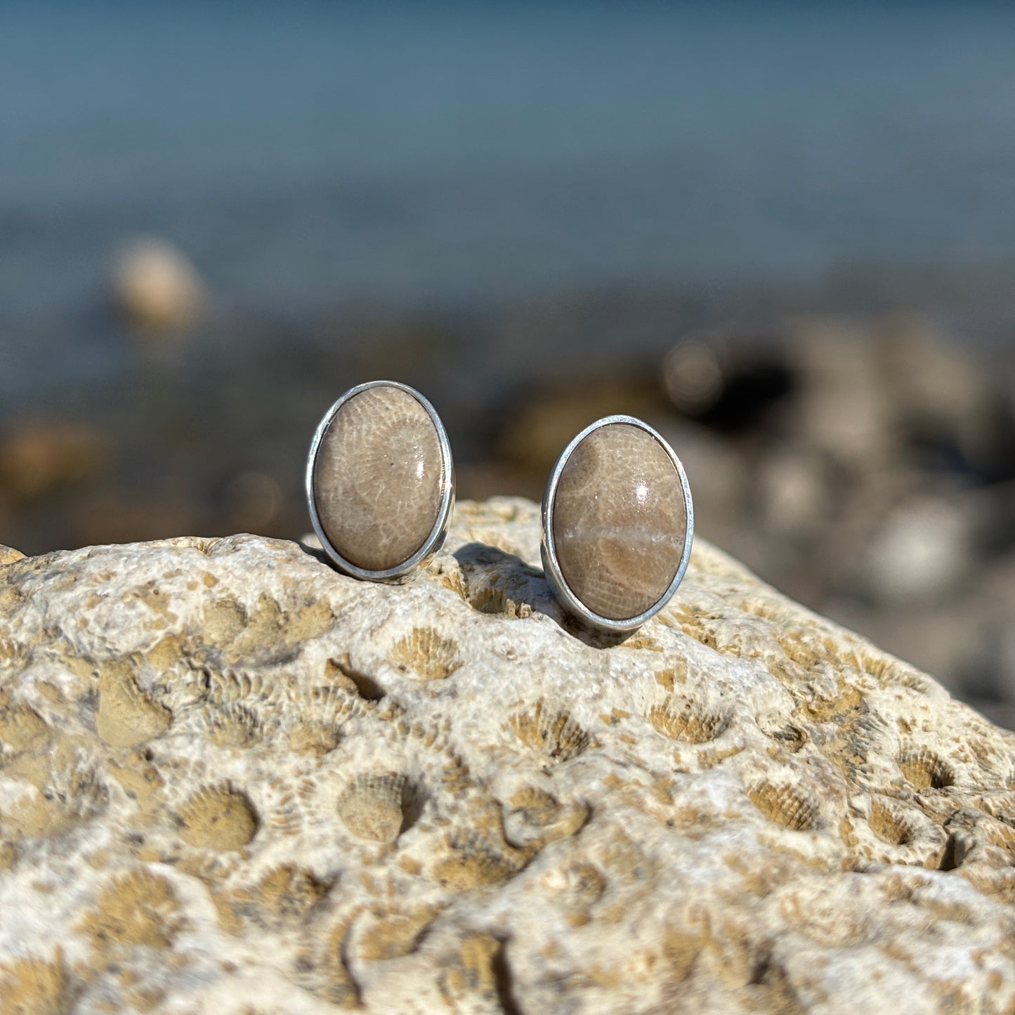 Petoskey Stone Stud Earring with Sterling Silver