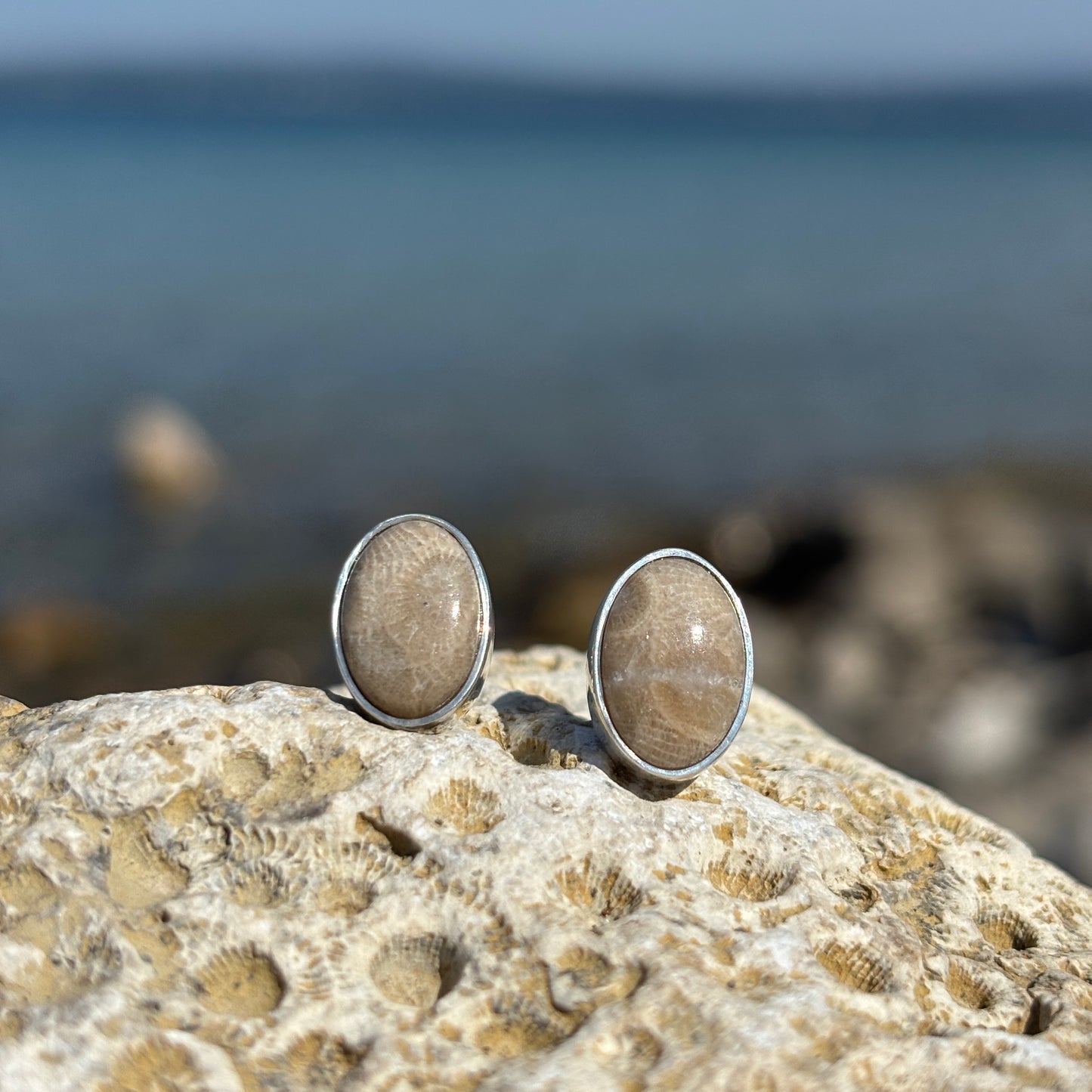 Petoskey Stone Stud Earring with Sterling Silver