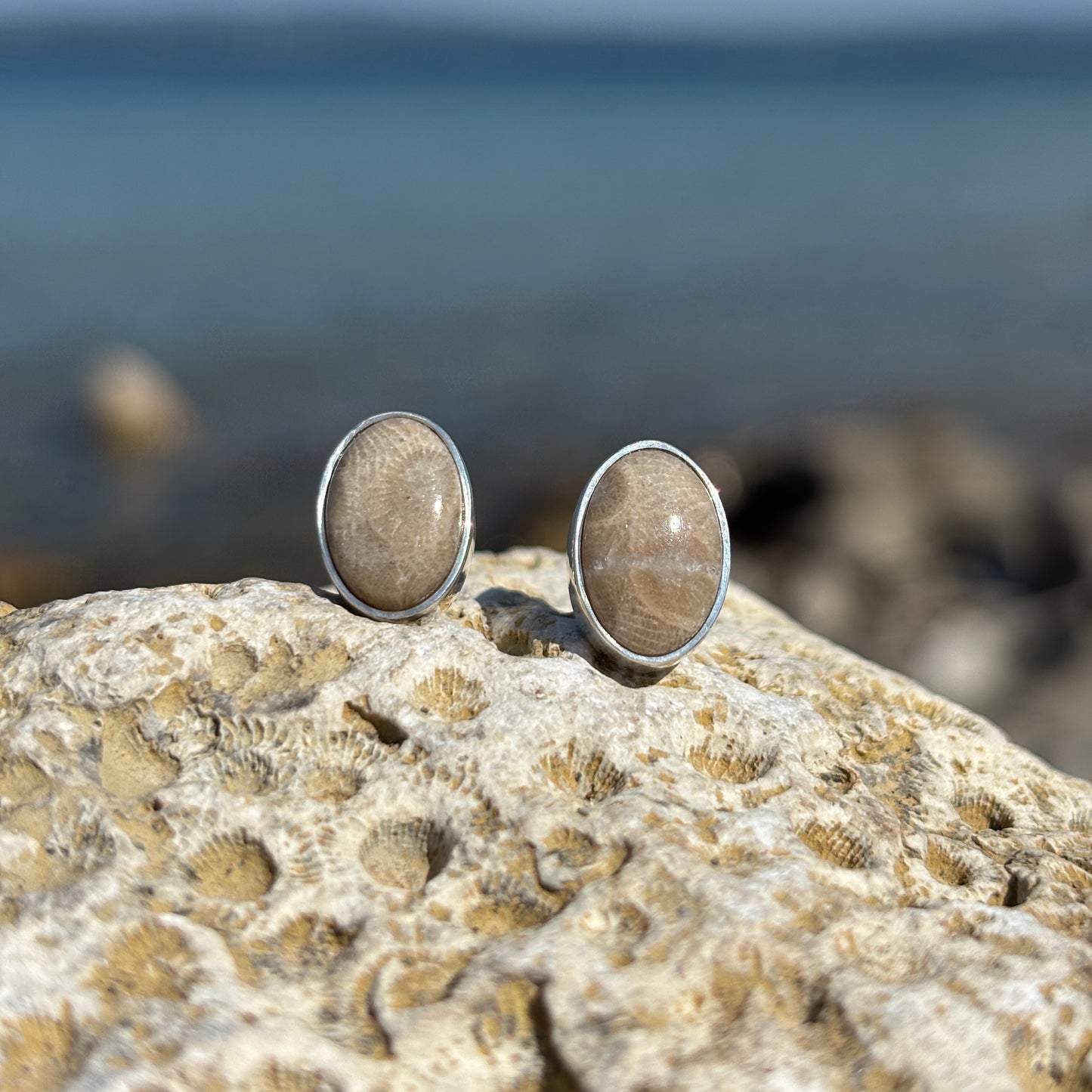 Petoskey Stone Stud Earring with Sterling Silver