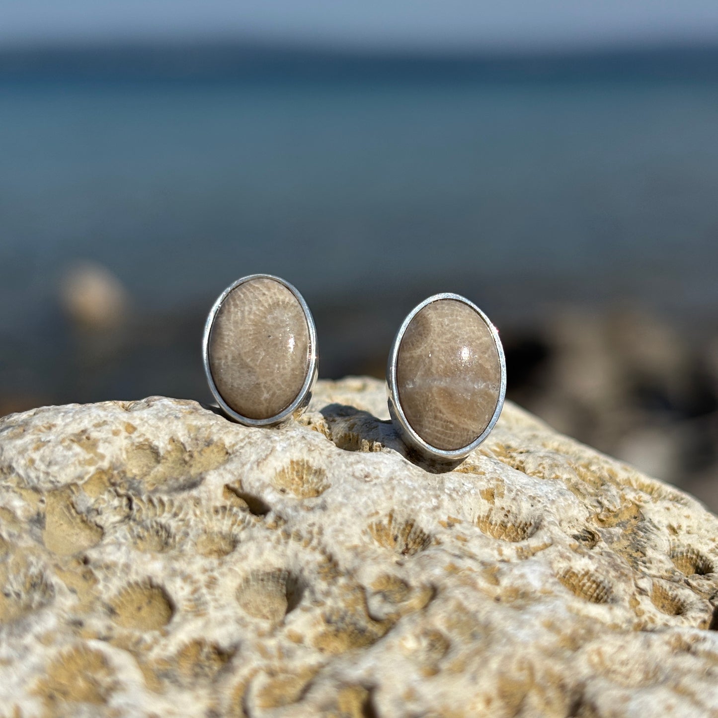 Petoskey Stone Stud Earring with Sterling Silver