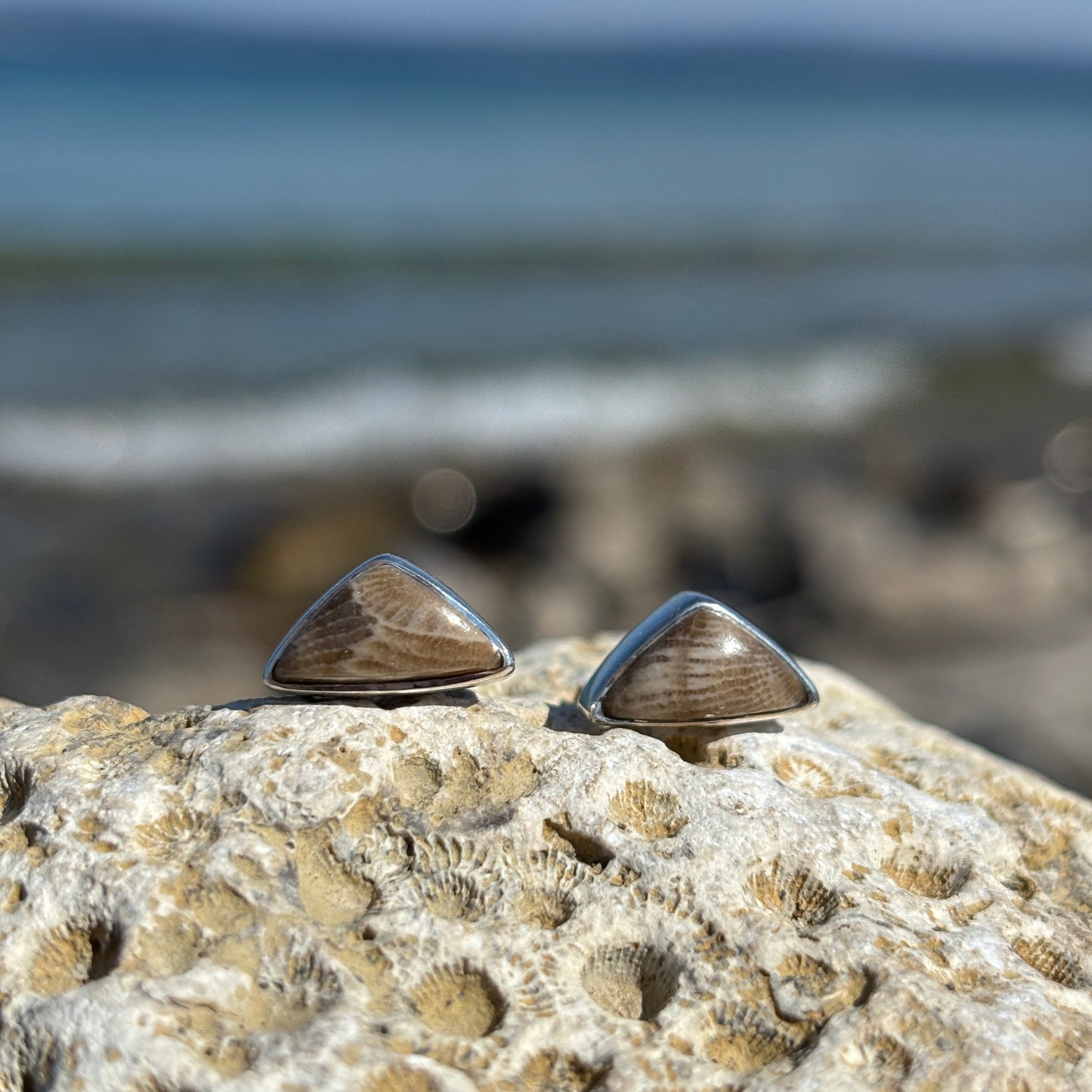 Petoskey Stone Stud Earring with Sterling Silver