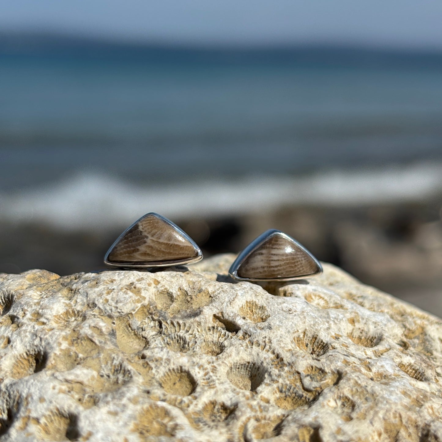 Petoskey Stone Stud Earring with Sterling Silver
