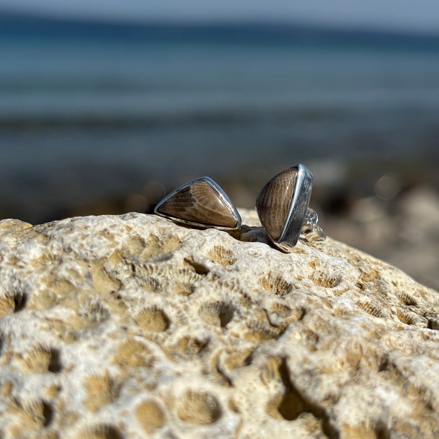 Petoskey Stone Stud Earring with Sterling Silver