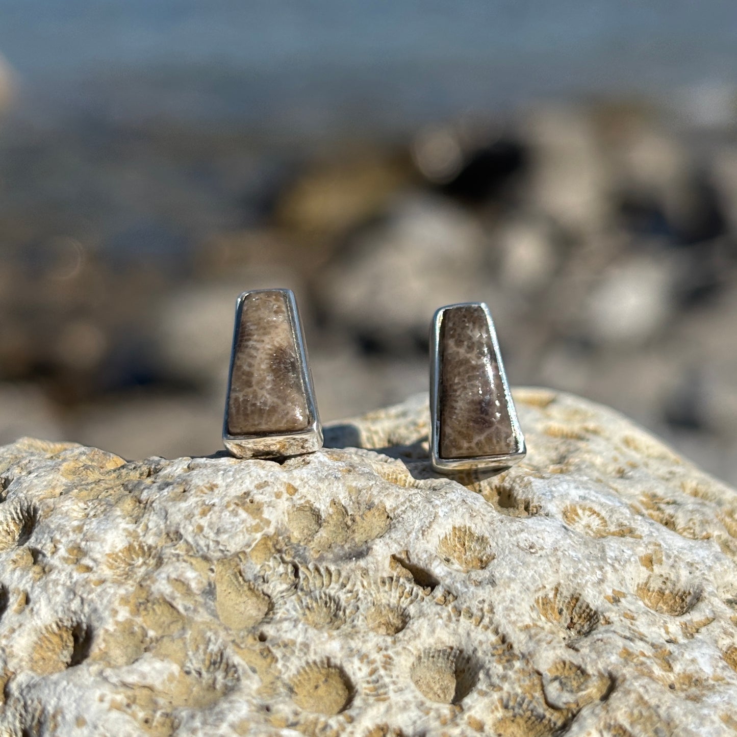 Petoskey Stone Stud Earring with Sterling Silver
