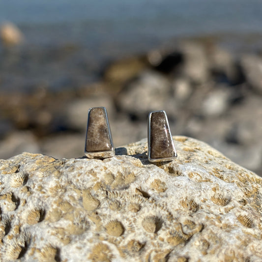 Petoskey Stone Stud Earring with Sterling Silver