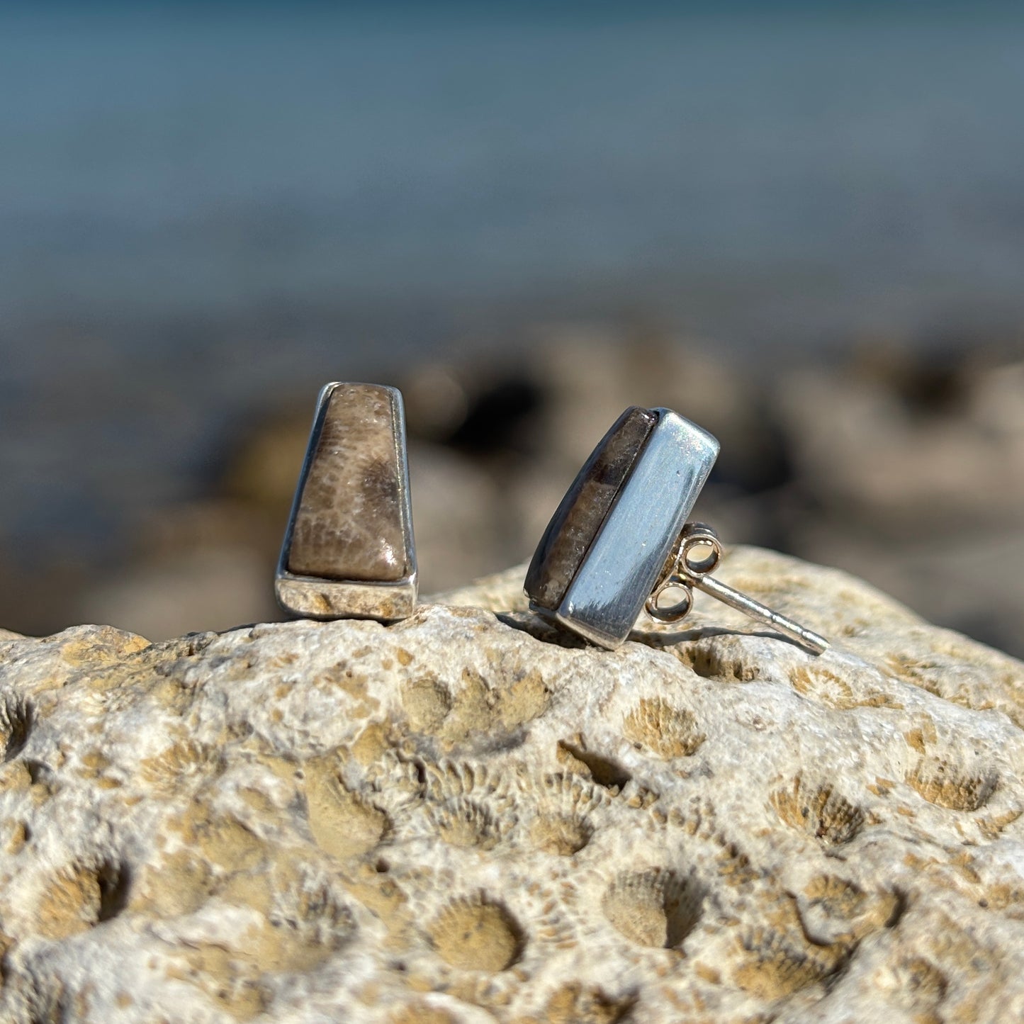 Petoskey Stone Stud Earring with Sterling Silver