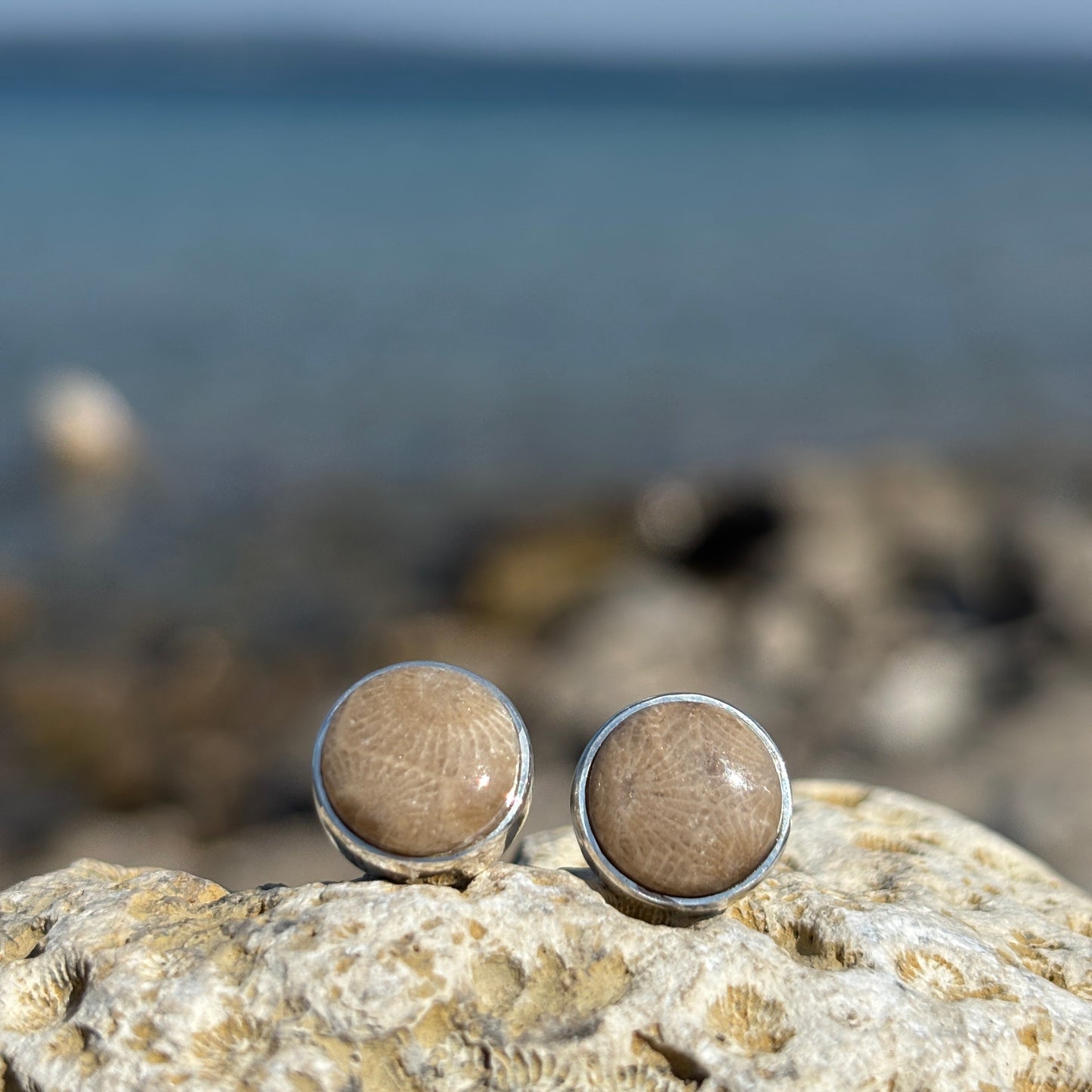 Petoskey Stone Stud Earring with Sterling Silver