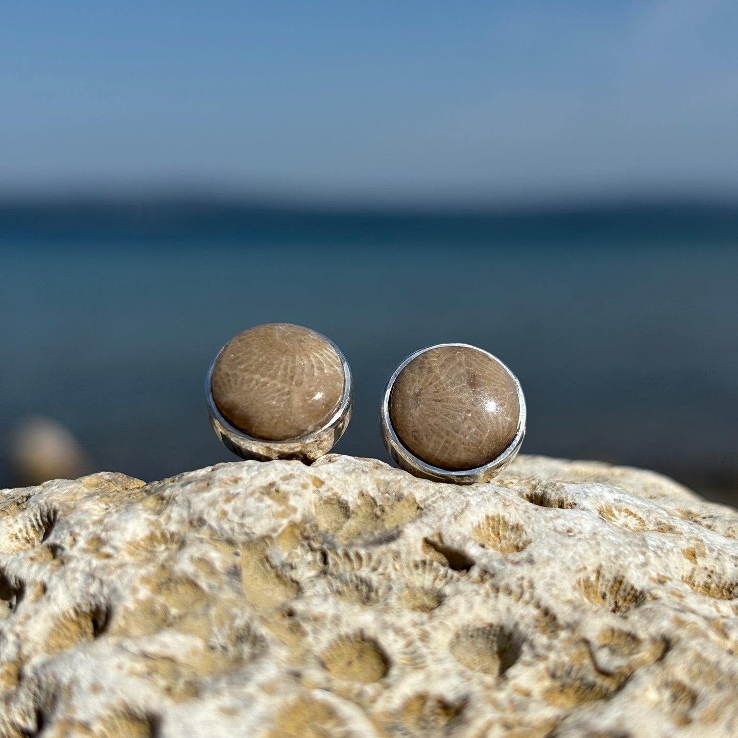 Petoskey Stone Stud Earring with Sterling Silver