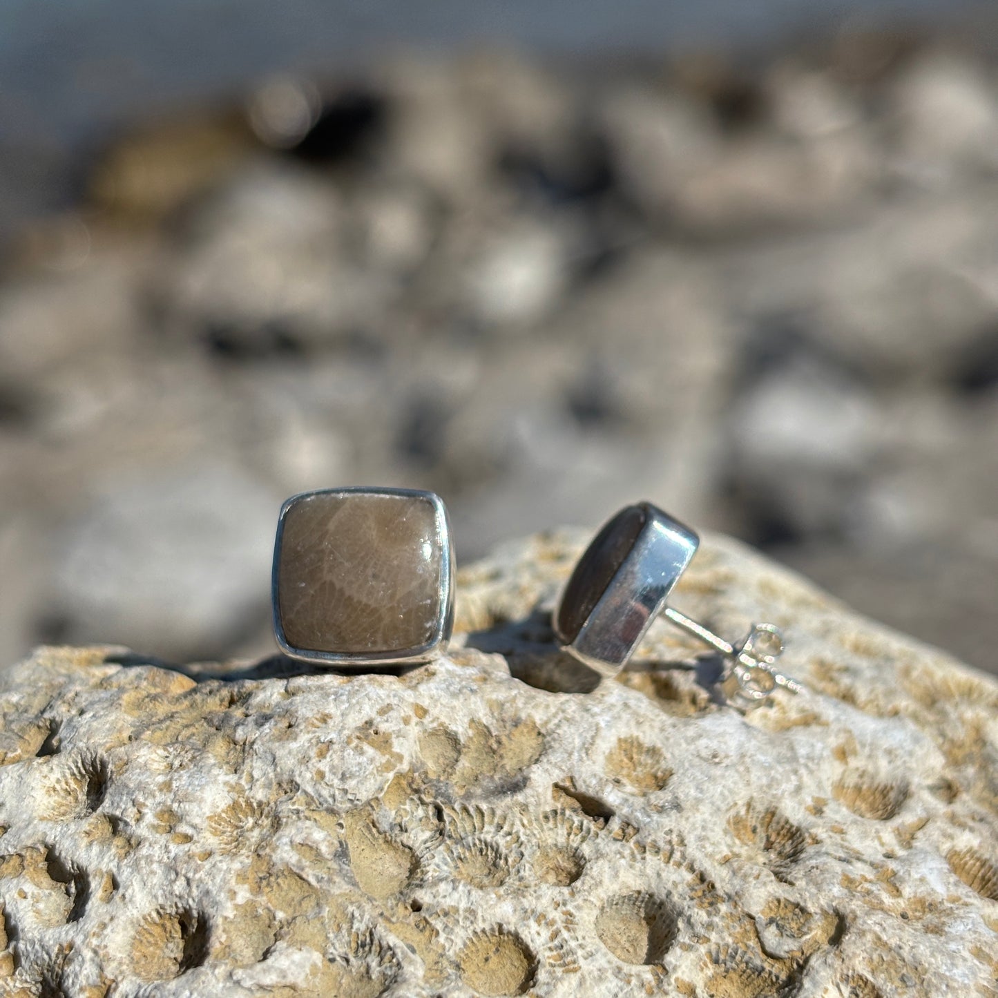 Petoskey Stone Stud Earring with Sterling Silver