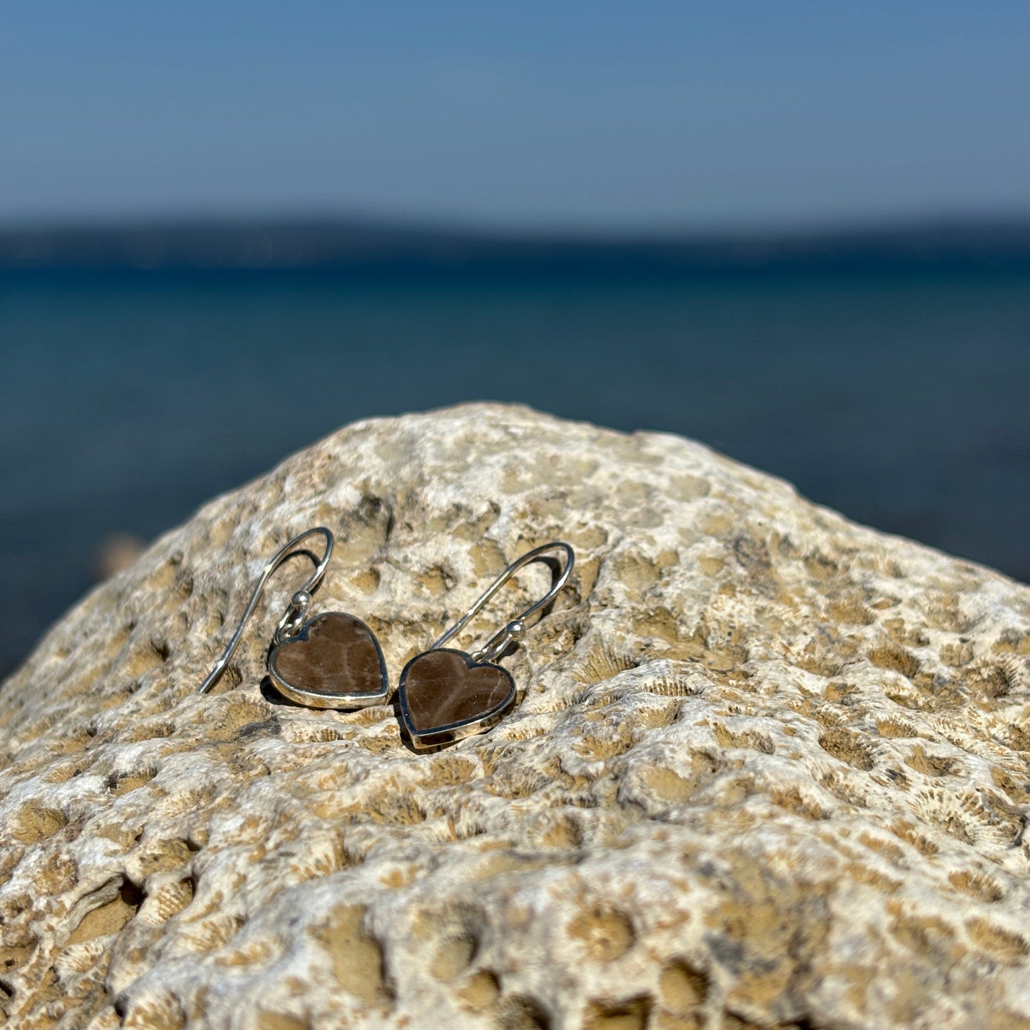 Petoskey Stone Heart Dangle Earrings with Sterling Silver
