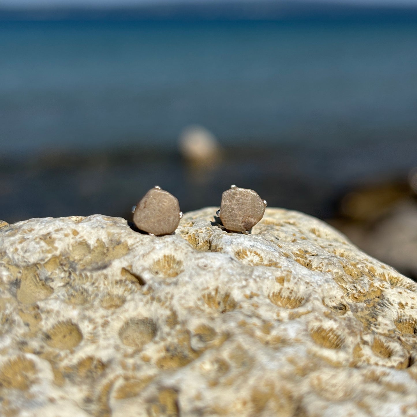 Petoskey Stone Stud Earring with Sterling Silver Prongs