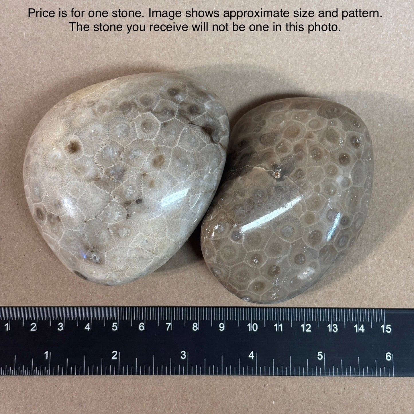 Fully Polished Petoskey Stone