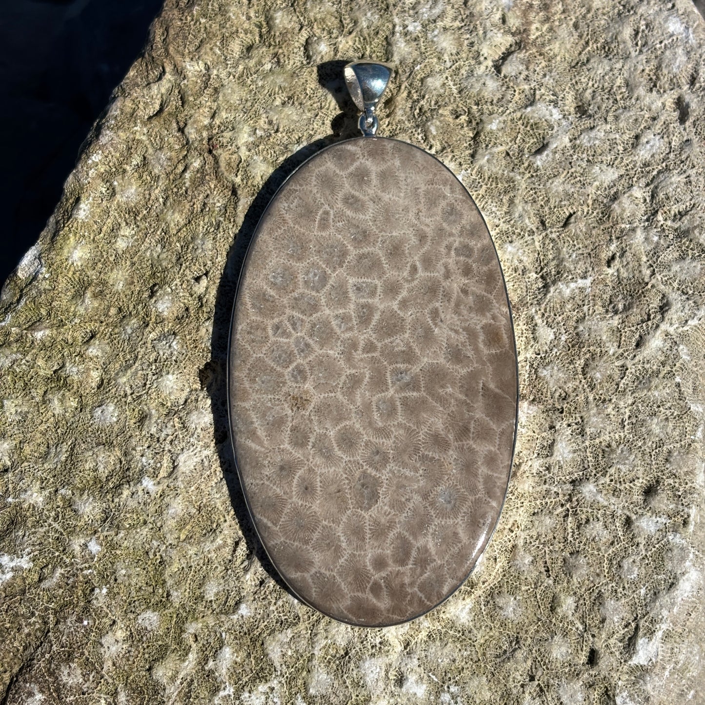 XL Petoskey Stone Necklace or Bag Charm