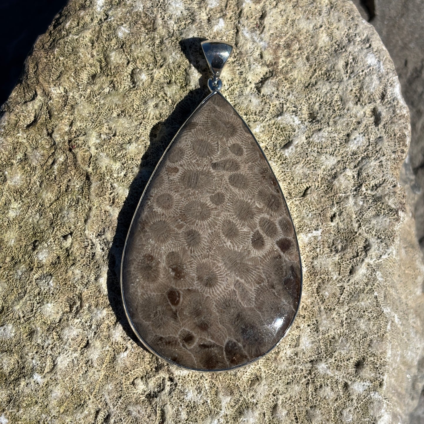 L Petoskey Stone Necklace Pendants