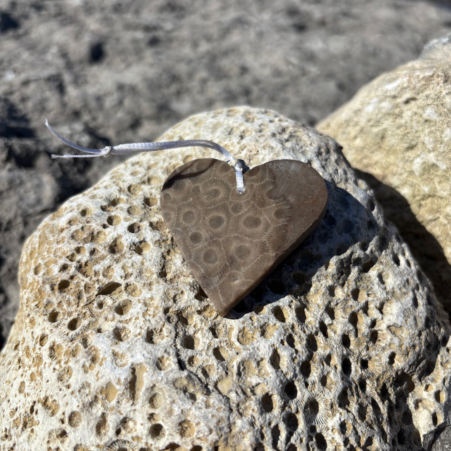 Petoskey Stone Ornaments
