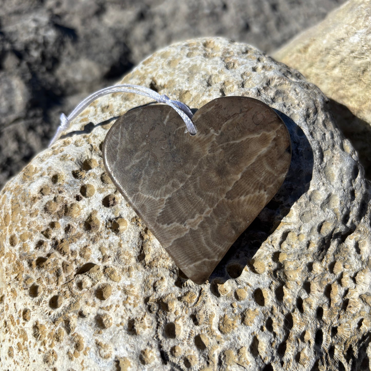 Petoskey Stone Ornaments