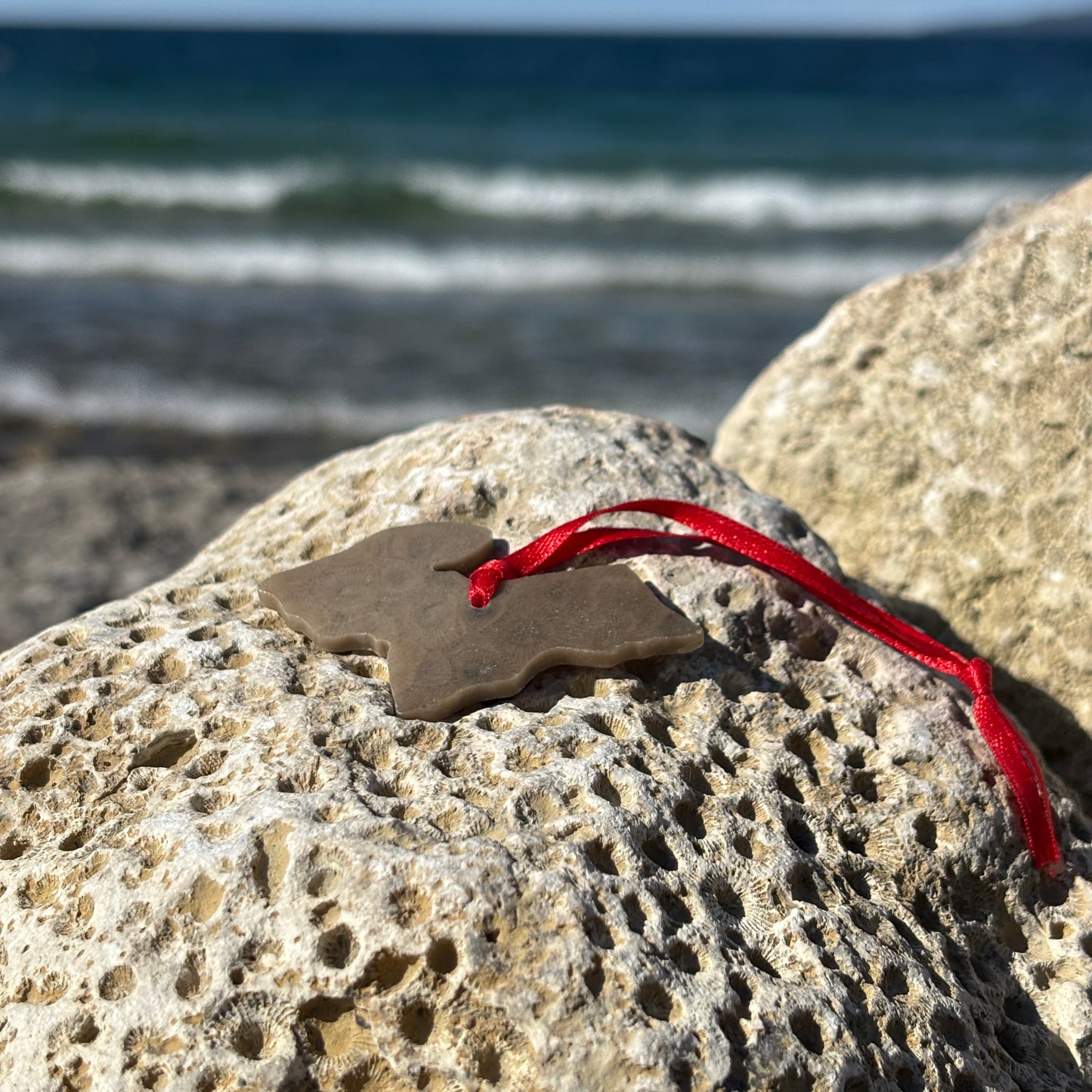 Petoskey Stone Ornaments