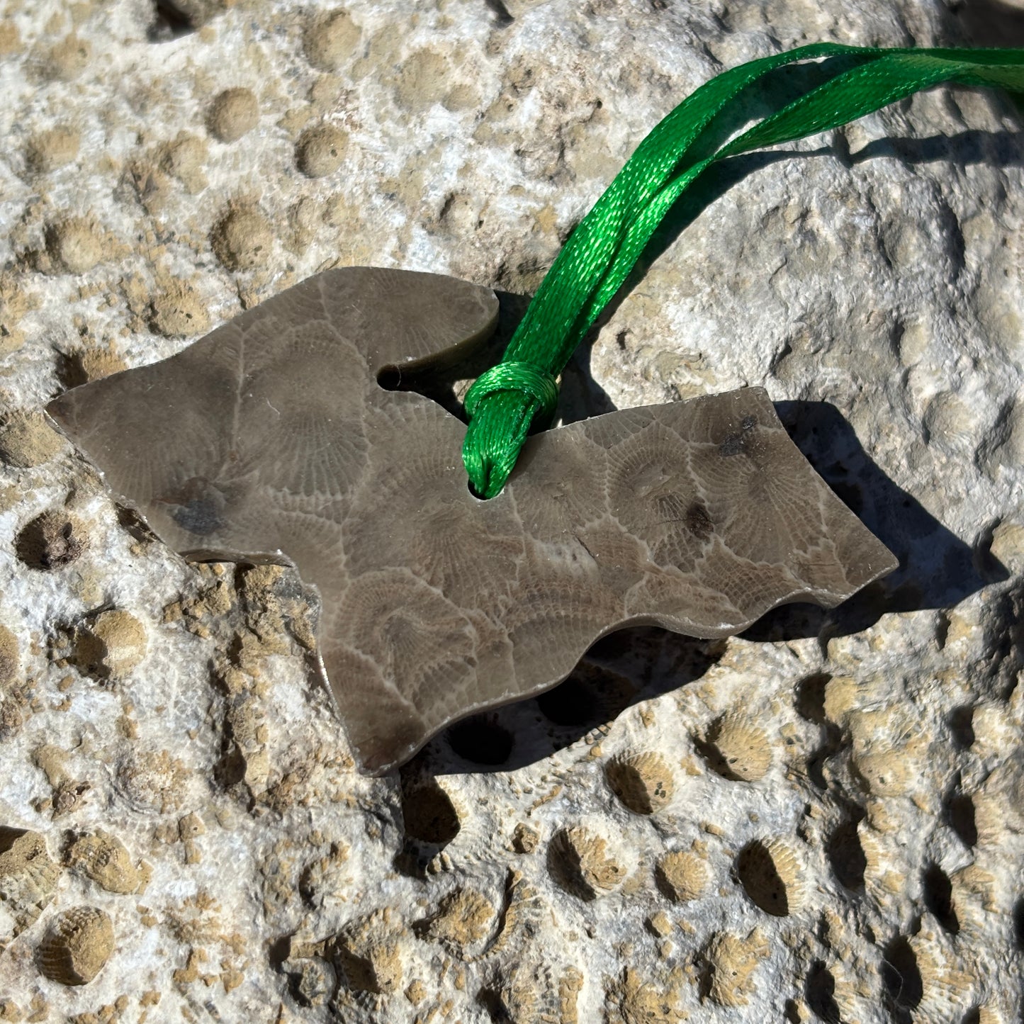 Petoskey Stone Ornaments