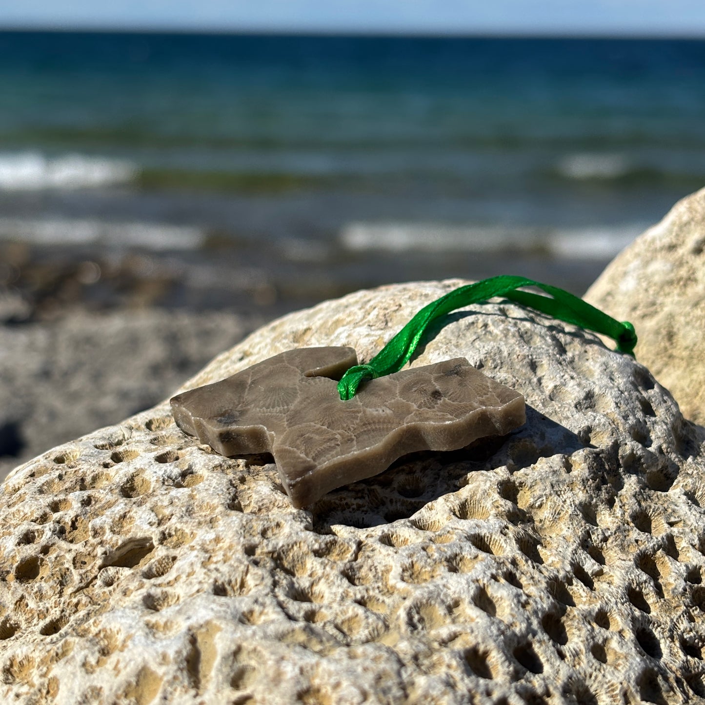 Petoskey Stone Ornaments