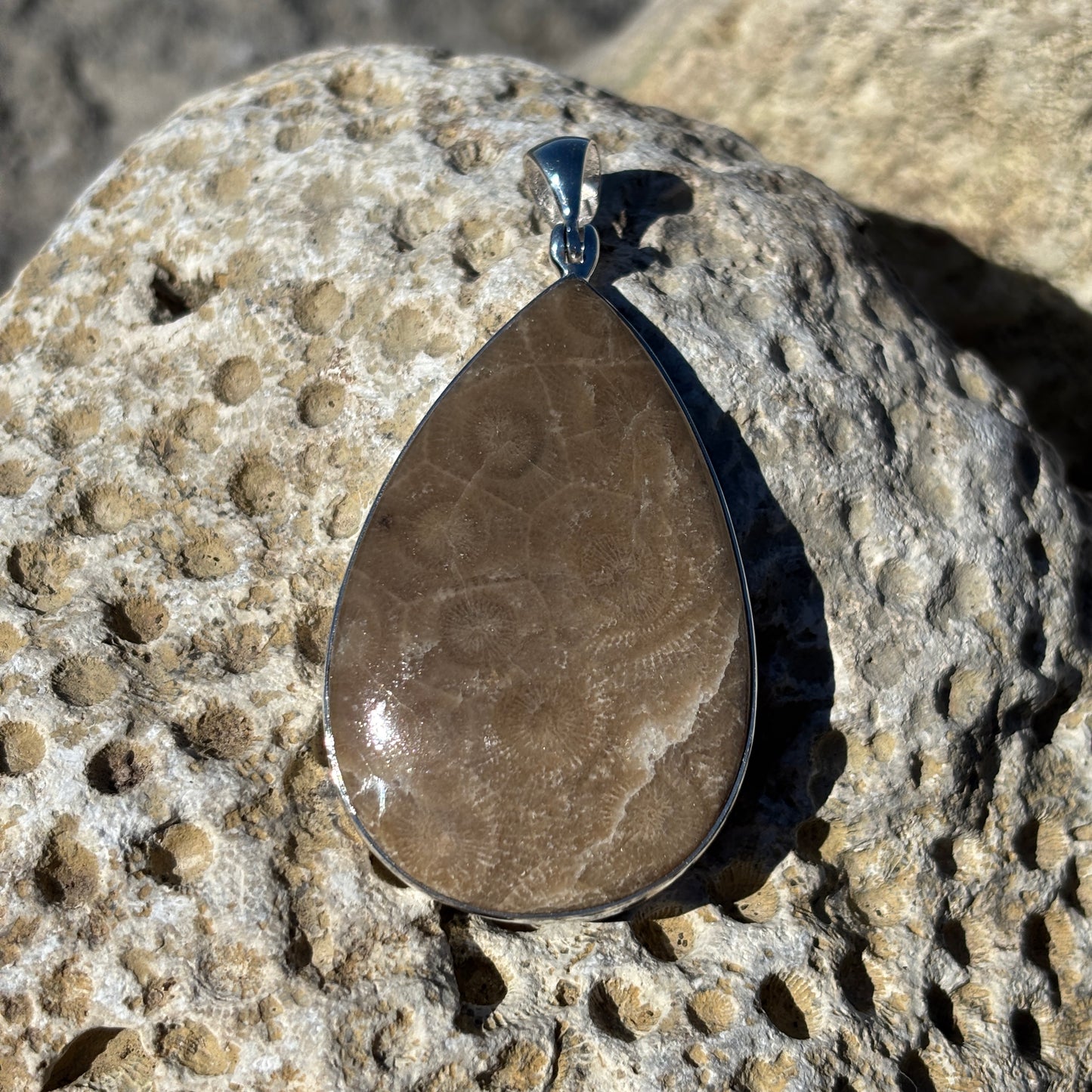 Petoskey Stone Necklace Pendants