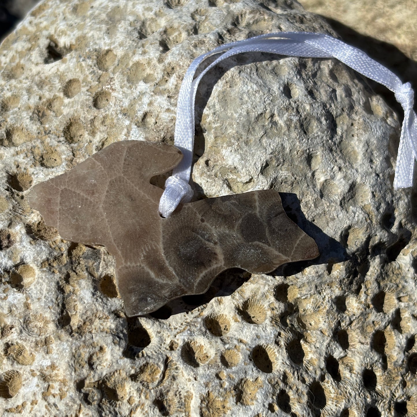 Petoskey Stone Ornaments