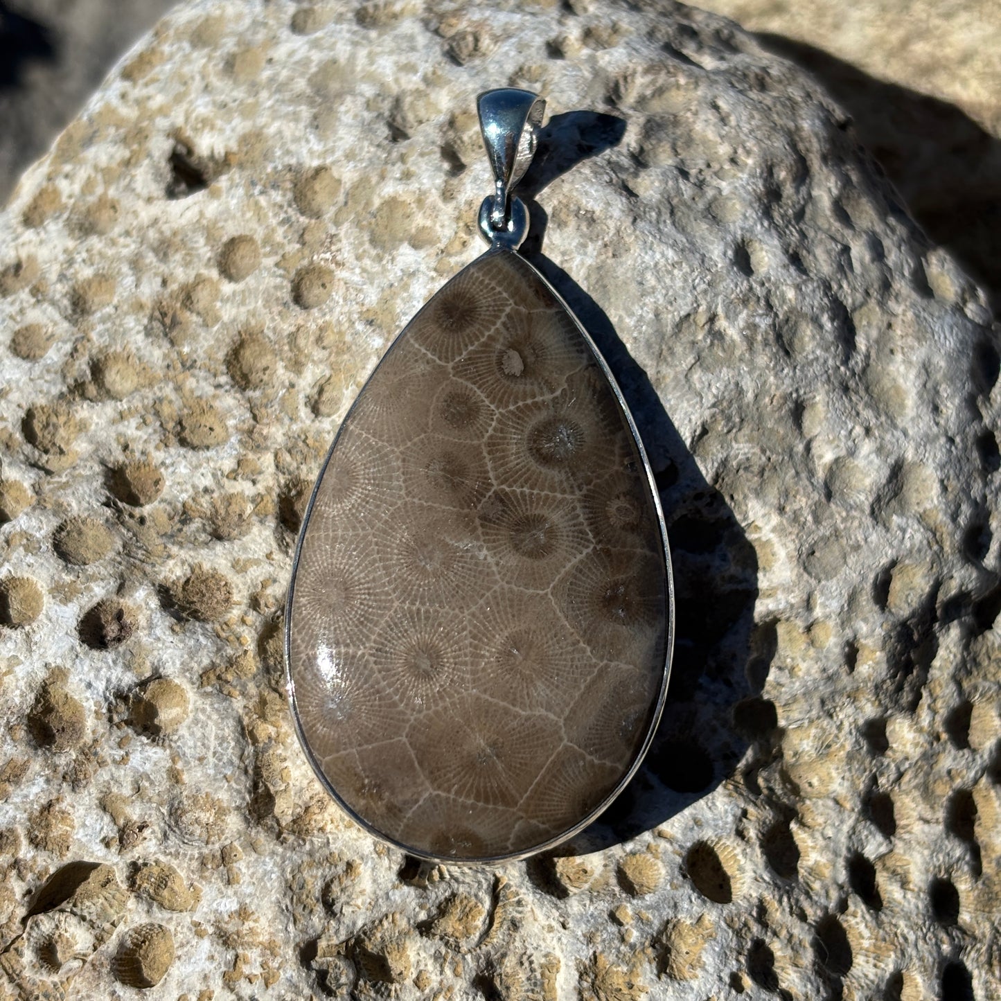 Petoskey Stone Necklace Pendants