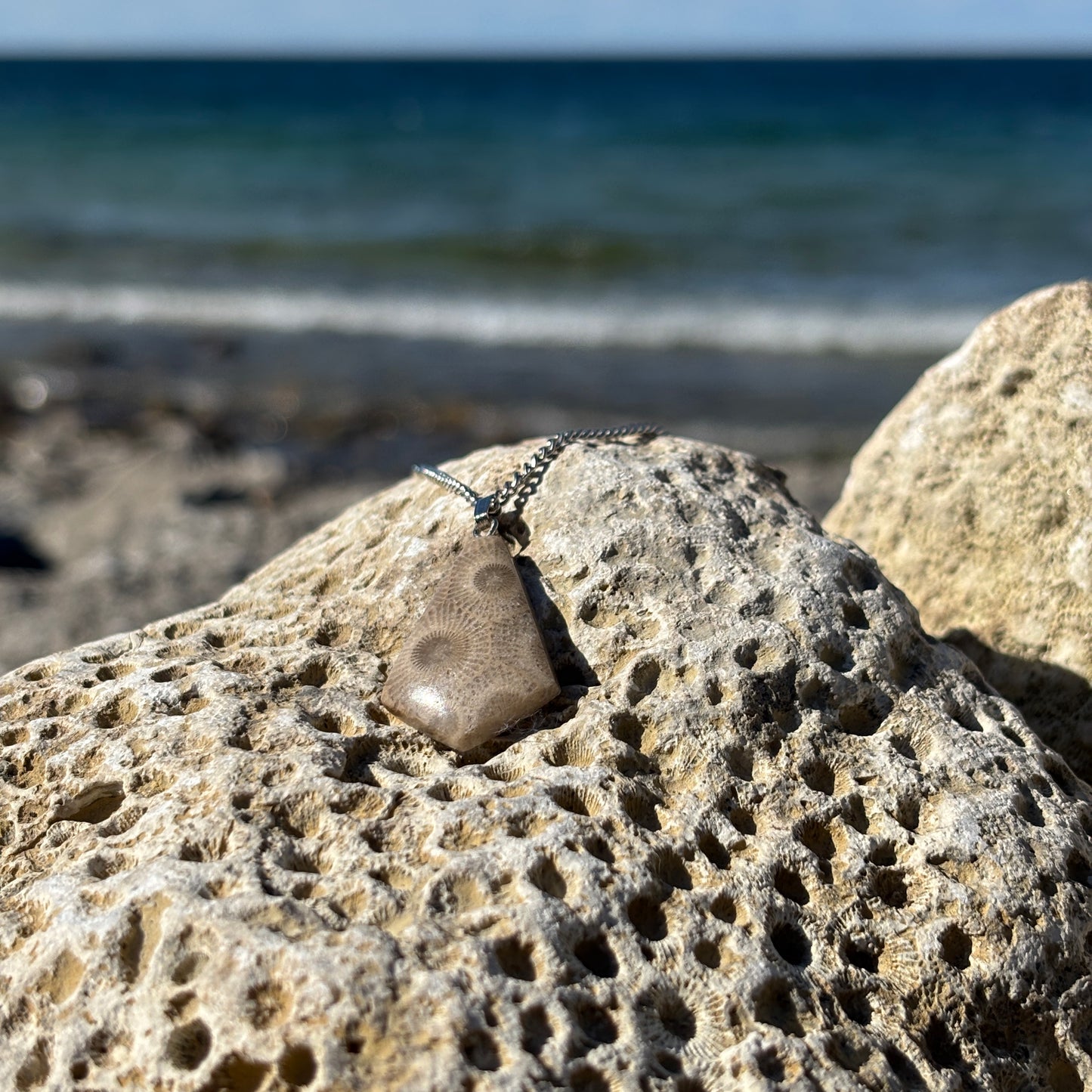 Petoskey Stone Necklaces with Chain