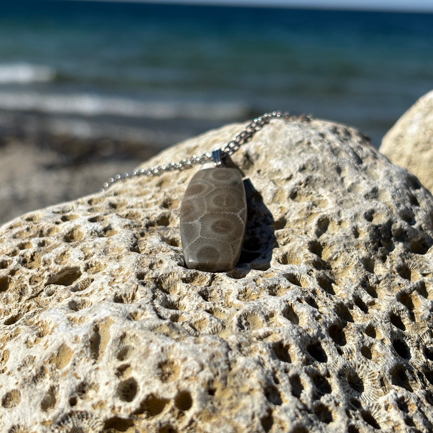 Petoskey Stone Necklaces with Chain