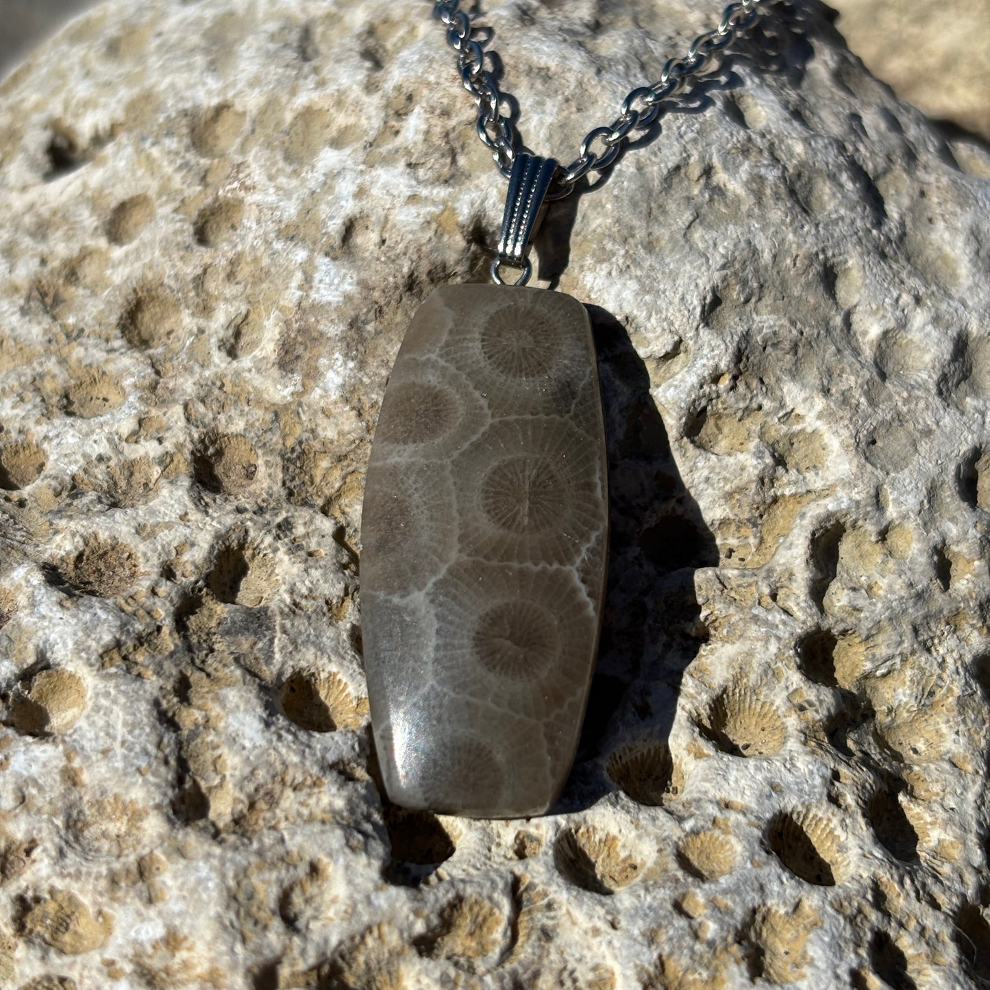 Petoskey Stone Necklaces with Chain