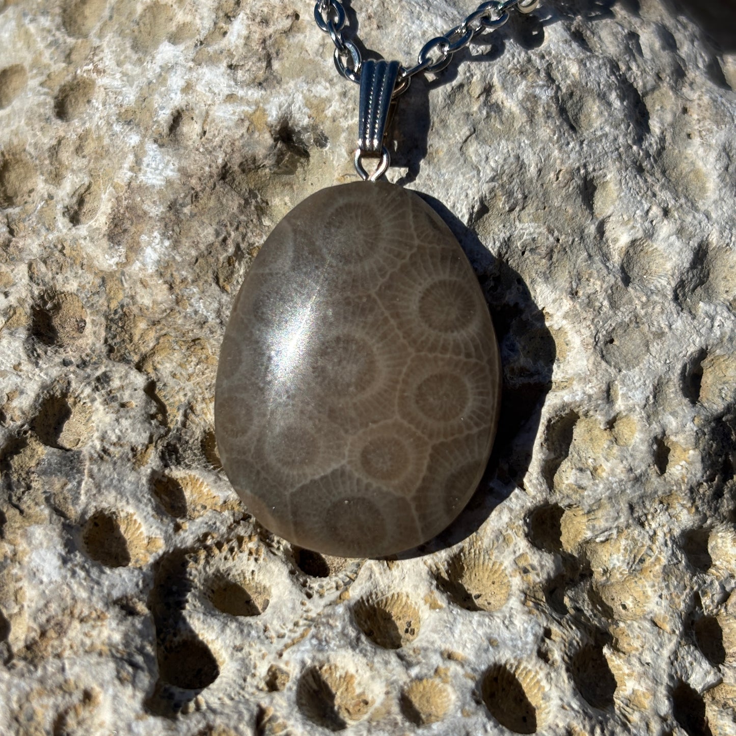 Petoskey Stone Necklaces with Chain