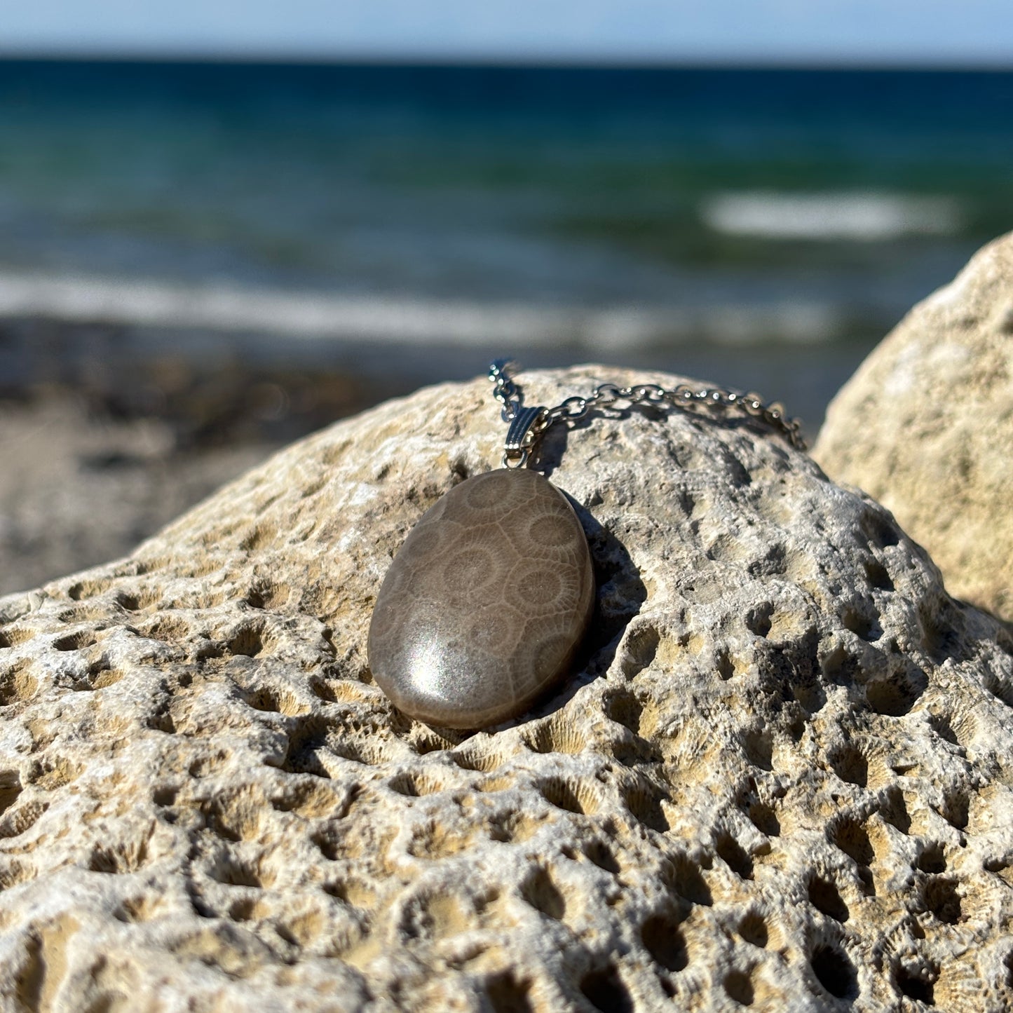 Petoskey Stone Necklaces with Chain
