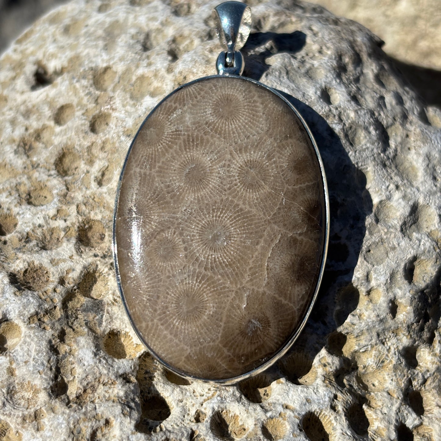 Petoskey Stone Necklace Pendants