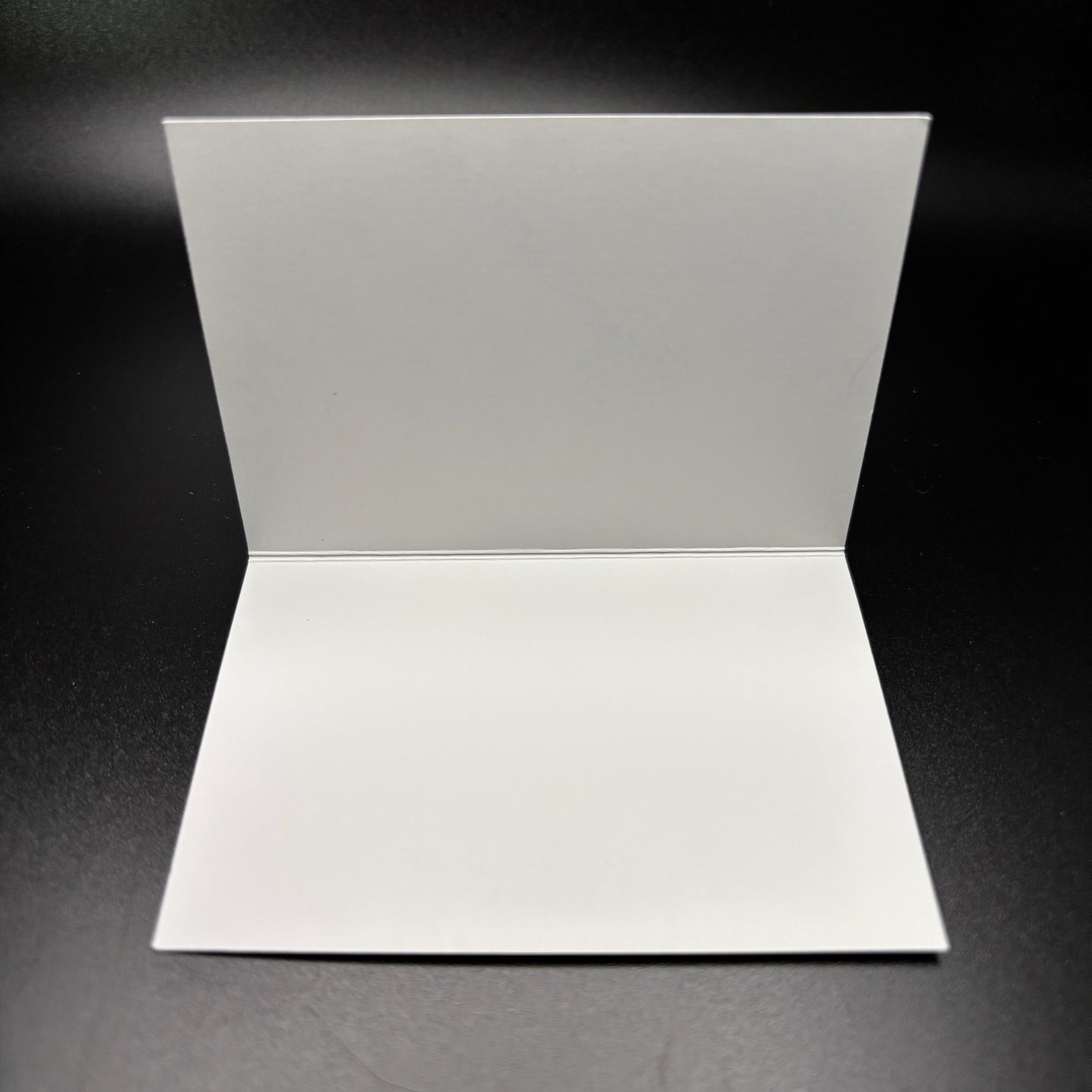 Petoskey Stone Watercolor Enclosure Card