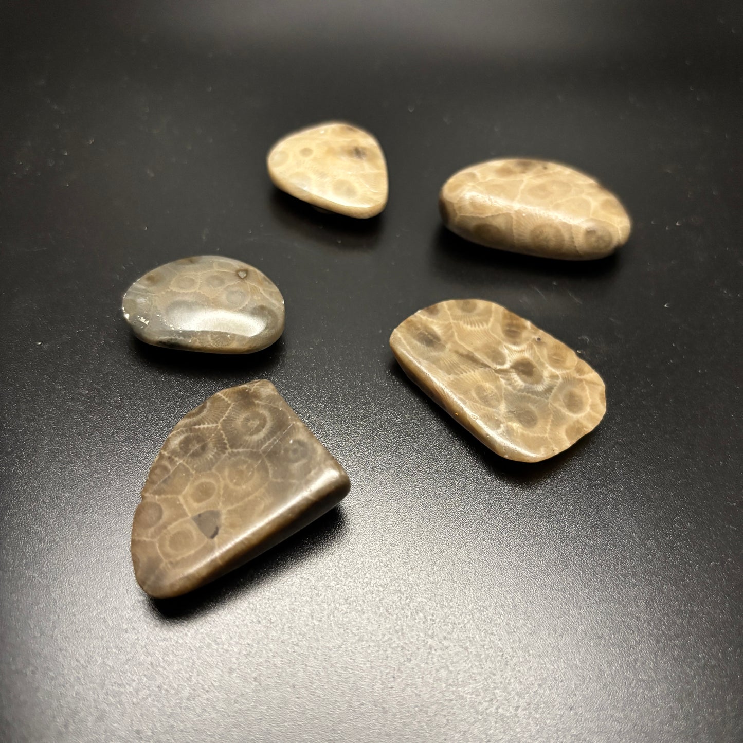 Petoskey Stone Magnets