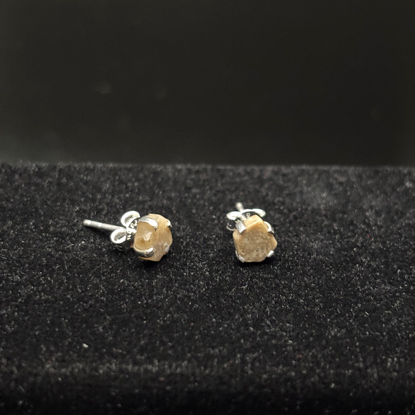 Petoskey Stone Stud Earring with Sterling Silver Prongs
