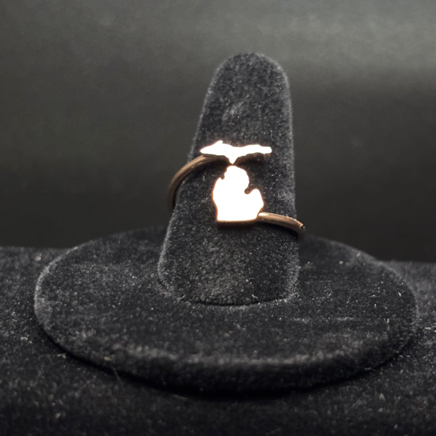 Upper and Lower Adjustable Michigan Ring