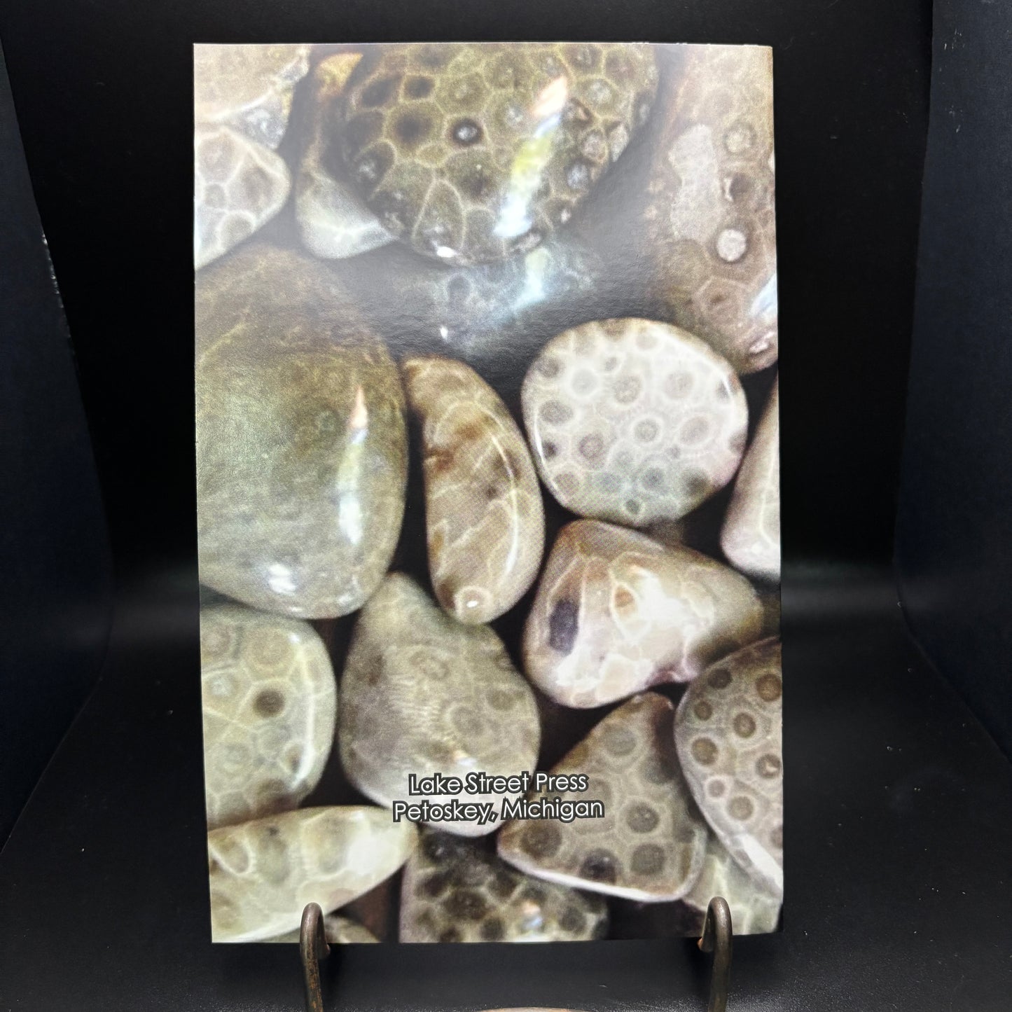 The Petoskey Stone Booklet