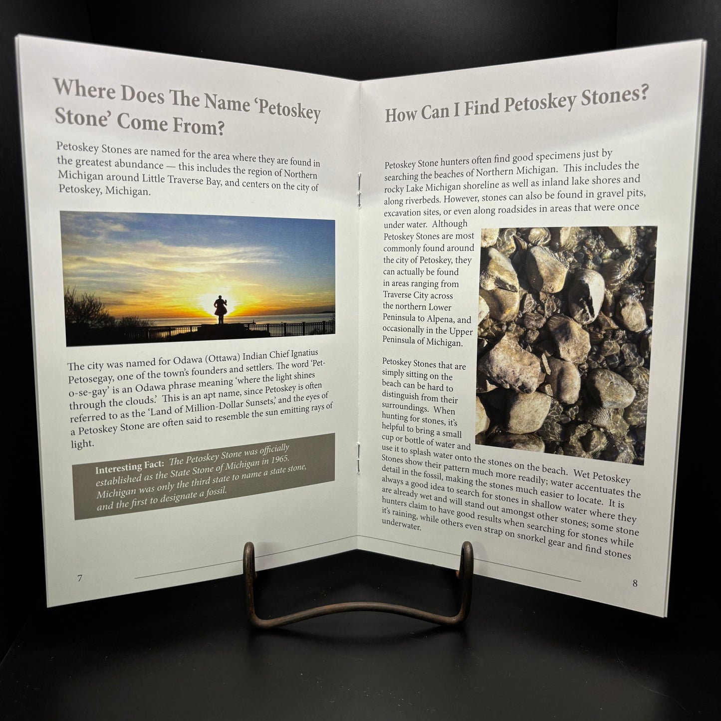 The Petoskey Stone Booklet