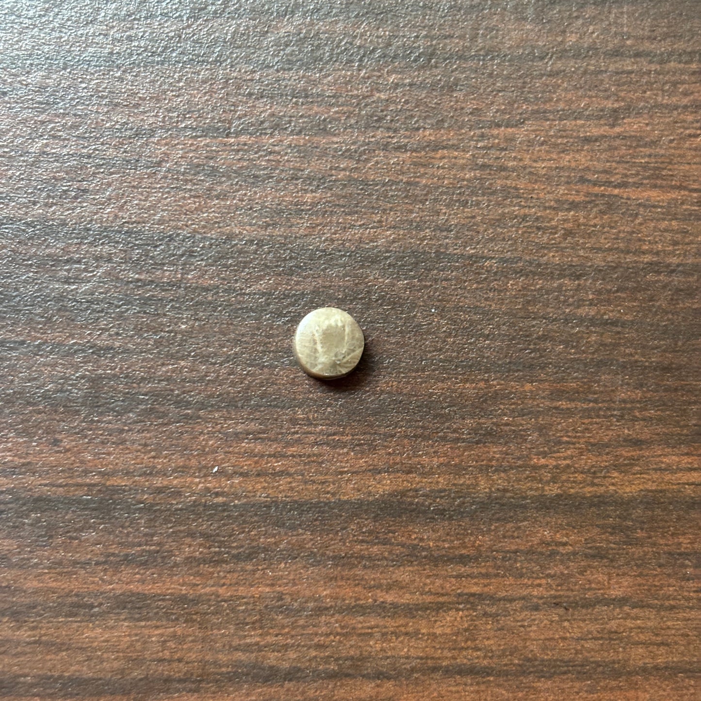 Petoskey Stone Cabochon 6mm Round